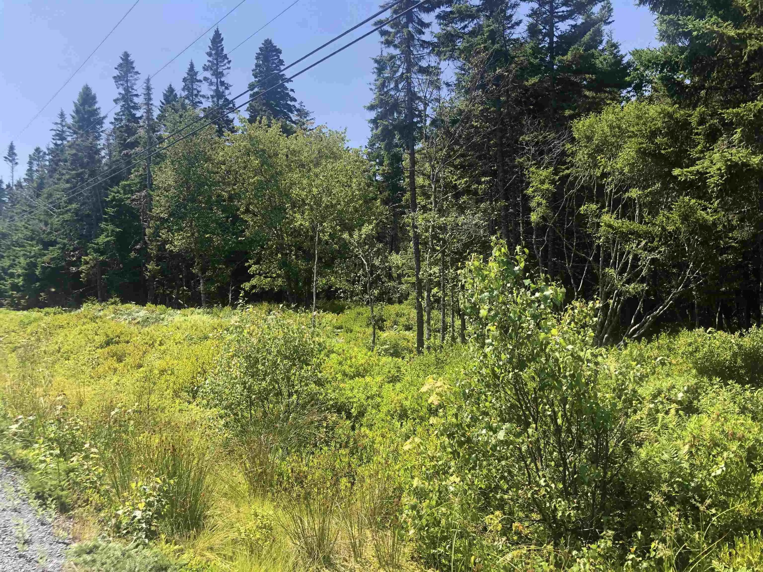 Upper Kingsburg Road, Upper Kingsburg, NS B0J 2X0, ,Land,For Sale,Upper Kingsburg,202519674