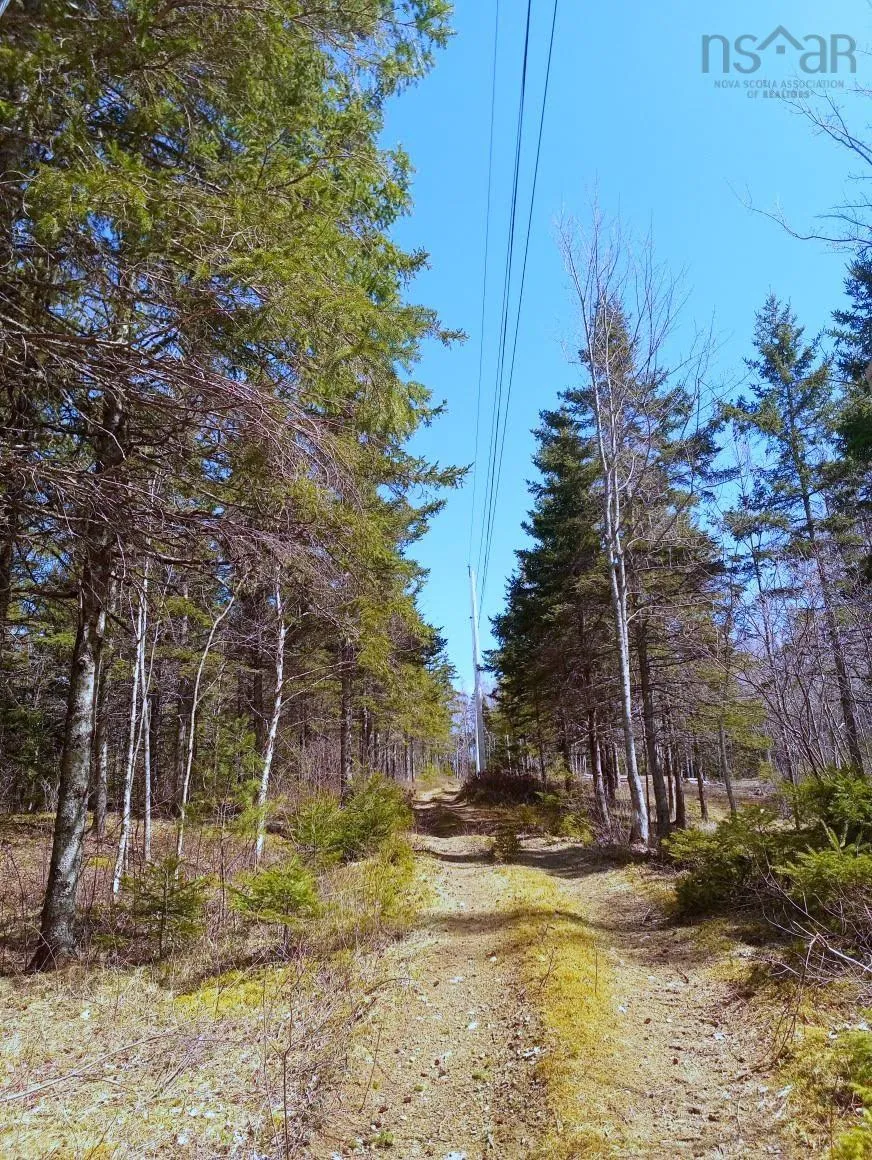 Jonny Cash Lane, Juniper Mountain Ns B1k 0c2, ,Land,For Sale,Johnny Cash Lane,202510142