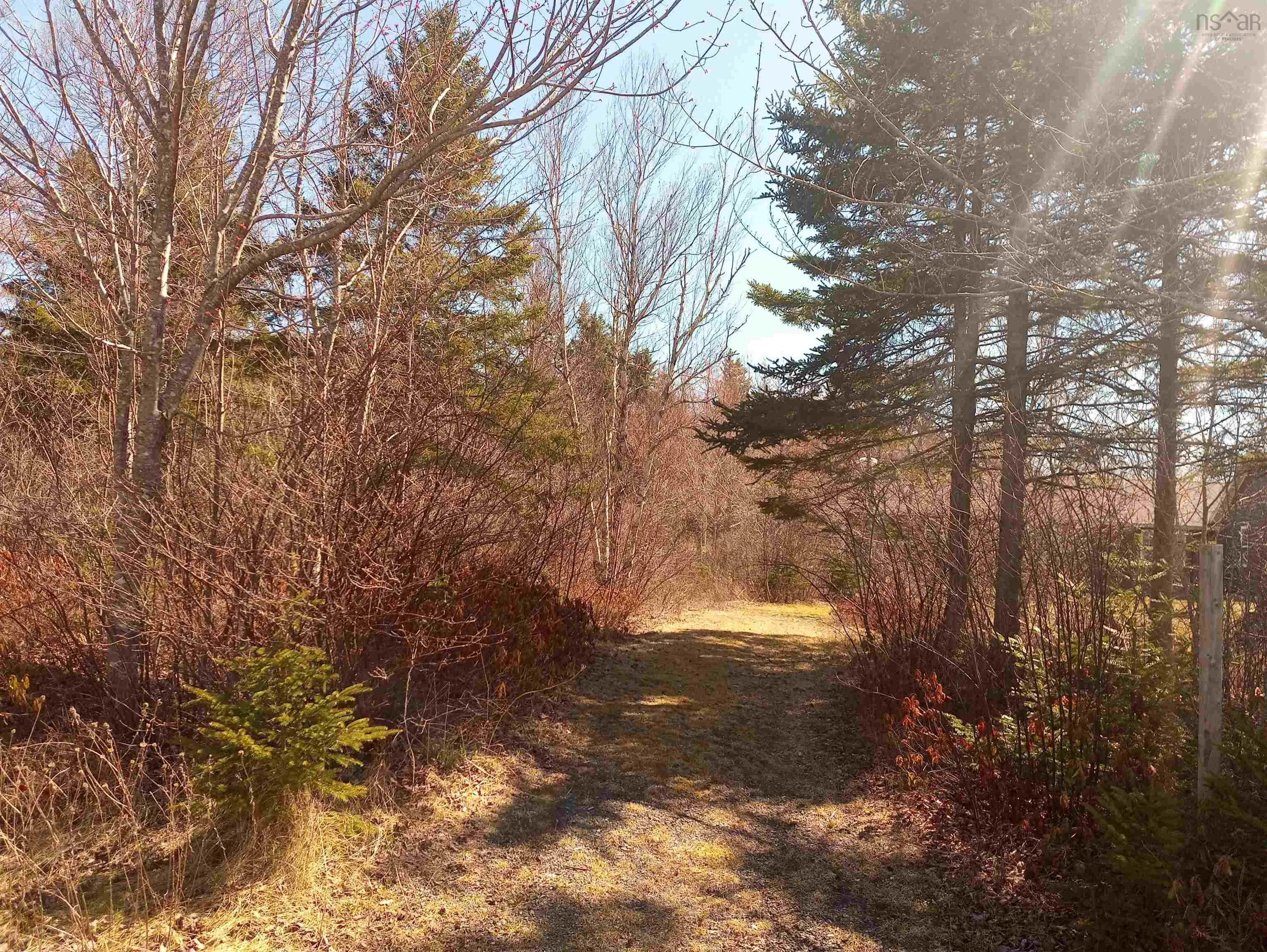 Jonny Cash Lane, Juniper Mountain Ns B1k 0c2, ,Land,For Sale,Johnny Cash Lane,202510142