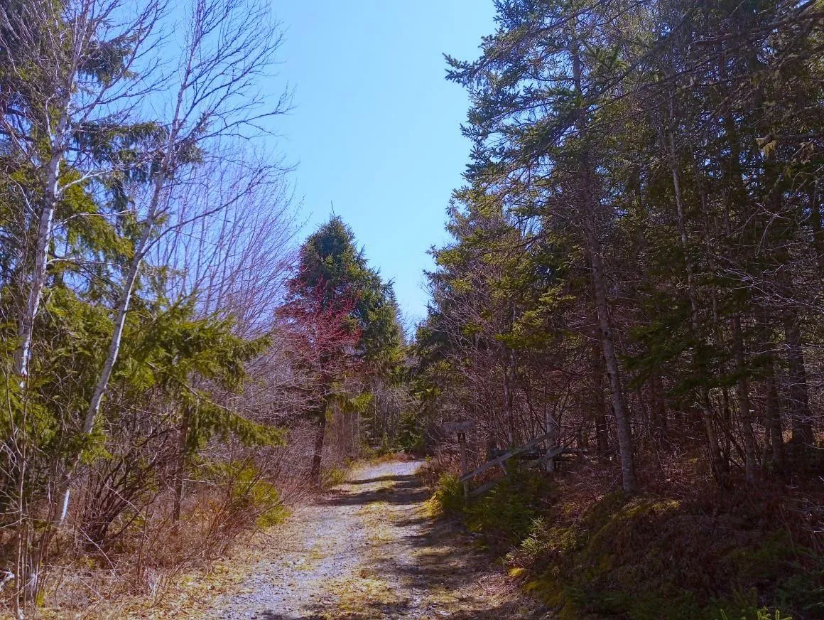 Jonny Cash Lane, Juniper Mountain Ns B1k 0c2, ,Land,For Sale,Johnny Cash Lane,202510142