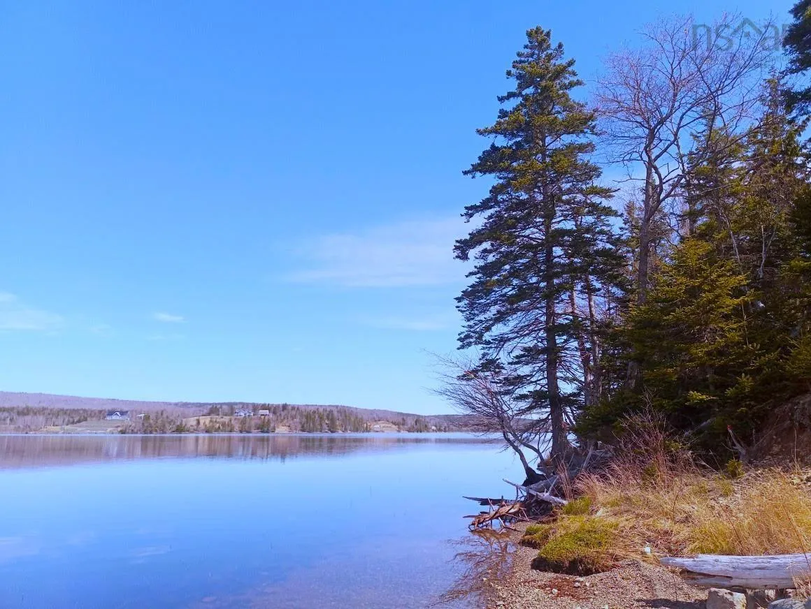 Jonny Cash Lane, Juniper Mountain Ns B1k 0c2, ,Land,For Sale,Johnny Cash Lane,202510142