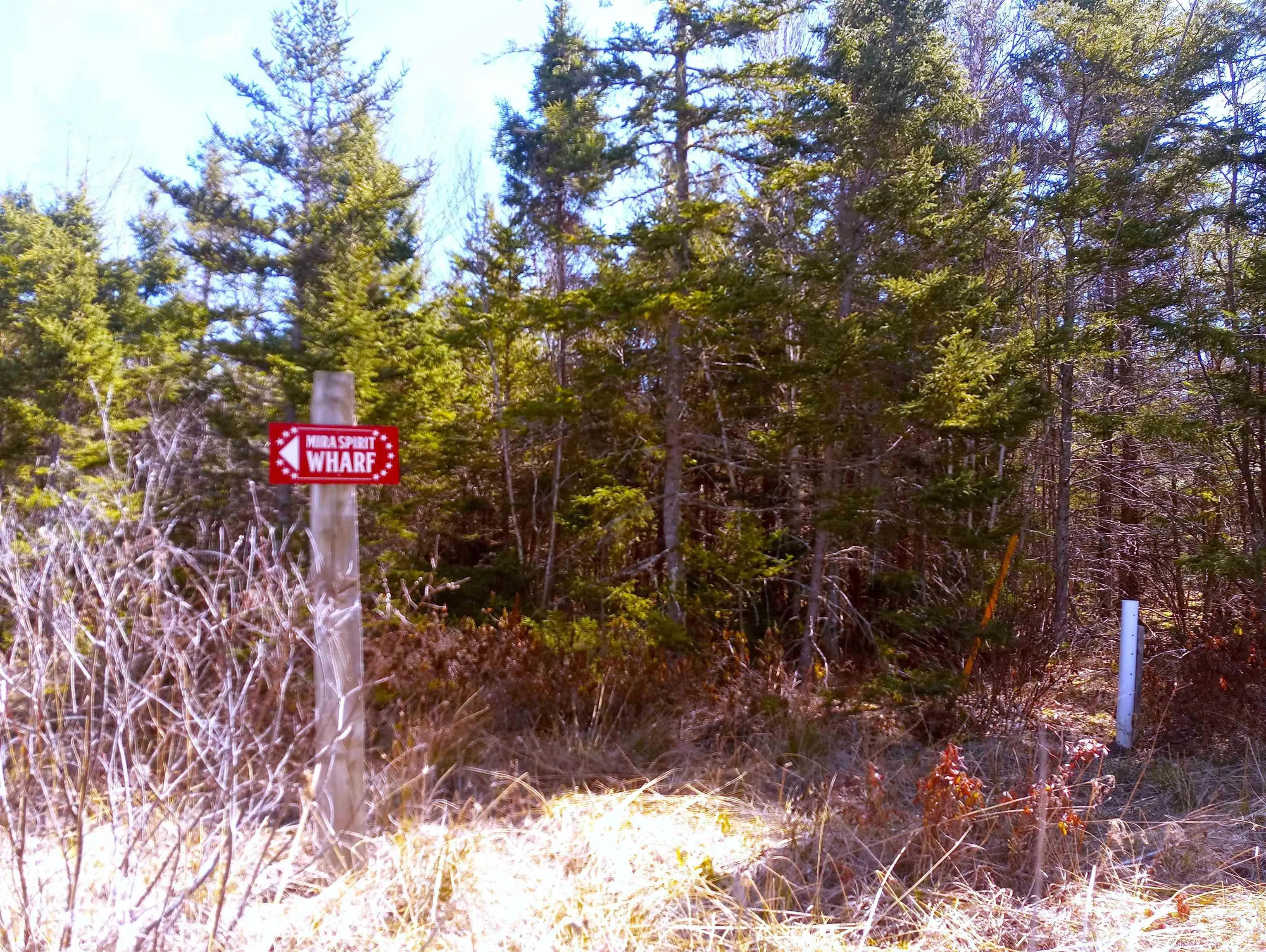 Jonny Cash Lane, Juniper Mountain Ns B1k 0c2, ,Land,For Sale,Johnny Cash Lane,202510142