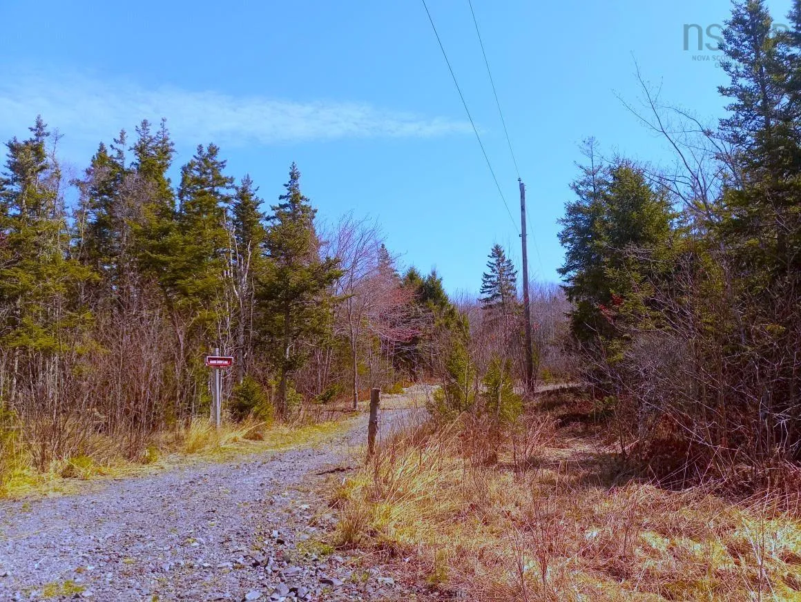 Jonny Cash Lane, Juniper Mountain Ns B1k 0c2, ,Land,For Sale,Johnny Cash Lane,202510142