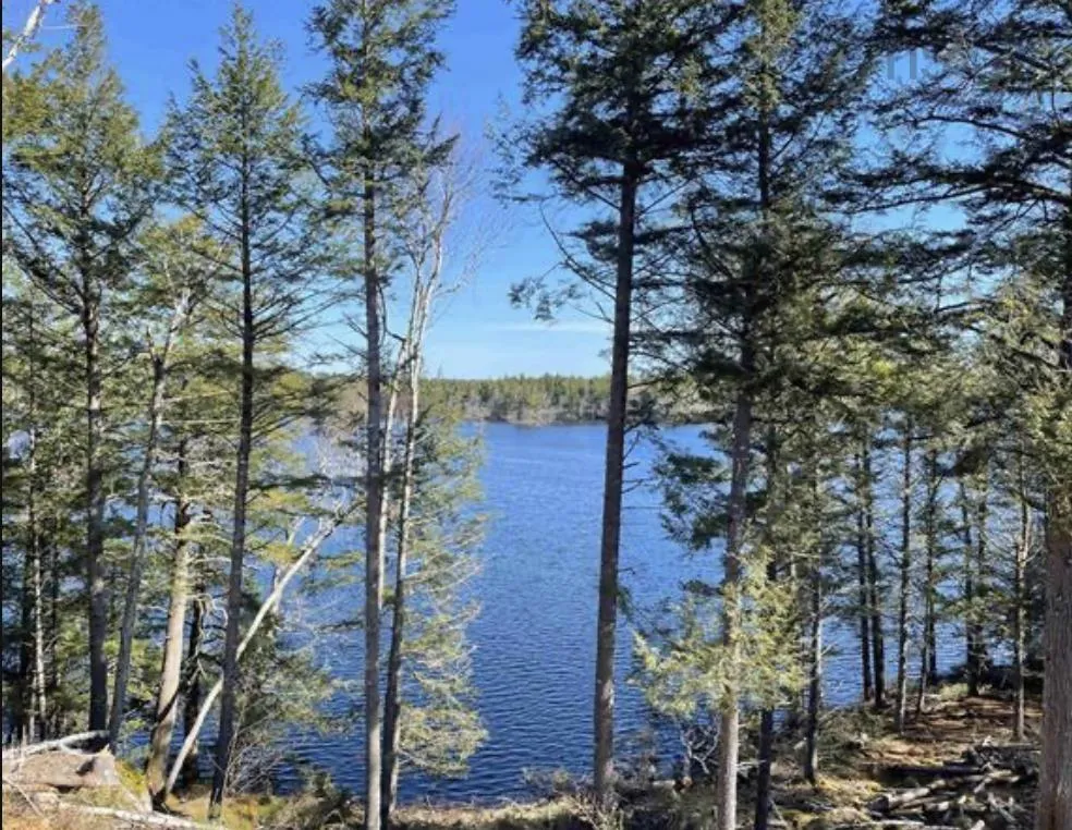 Highway No 8 Lot 7, South Brookfield, NS B0T 1X0, ,Land,For Sale,Highway No 8,202518944