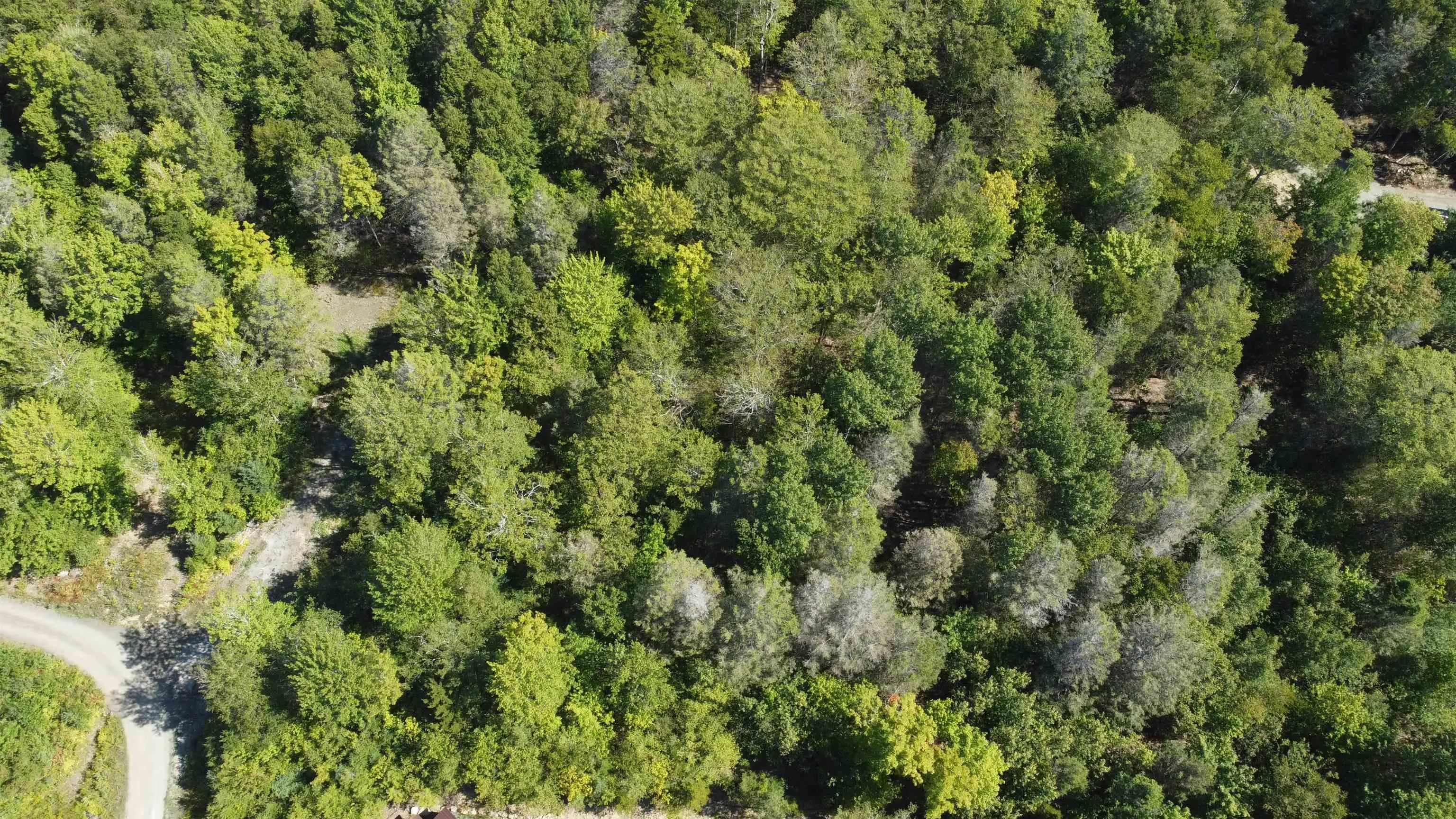 Sissiboo Road Lot 4, South Range, NS B0W 1H0, ,Land,For Sale,Sissiboo,202522449