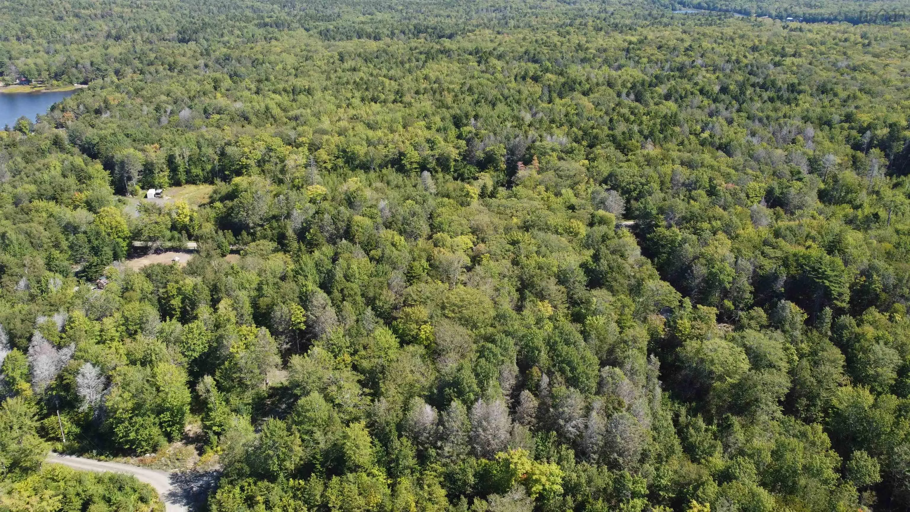 Sissiboo Road Lot 4, South Range, NS B0W 1H0, ,Land,For Sale,Sissiboo,202522449