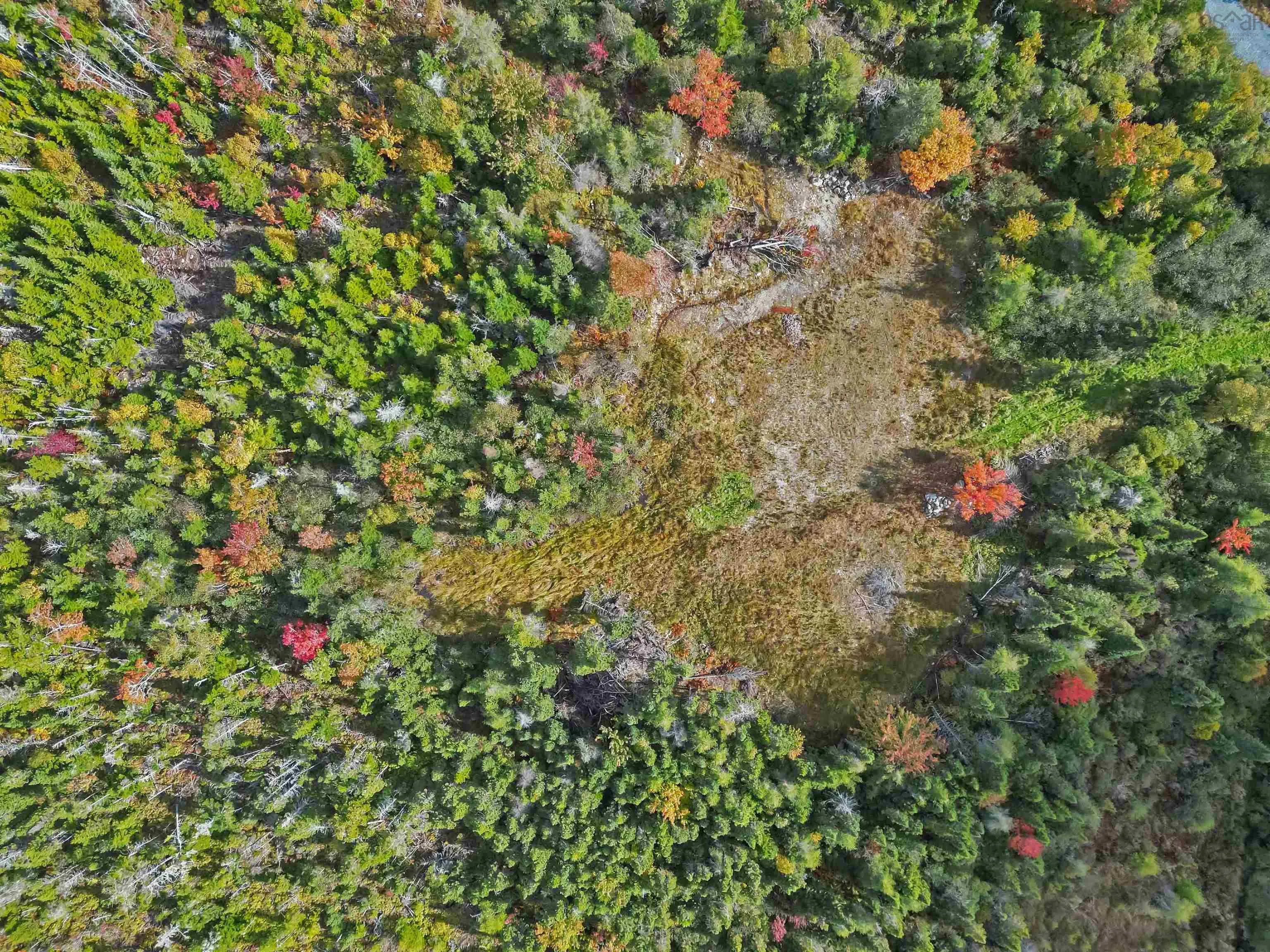 Lot 1dy-b West Lawrencetown Road, Lawrencetown Ns B2x 1h9, ,Land,For Sale,West Lawrencetown Road,202510171