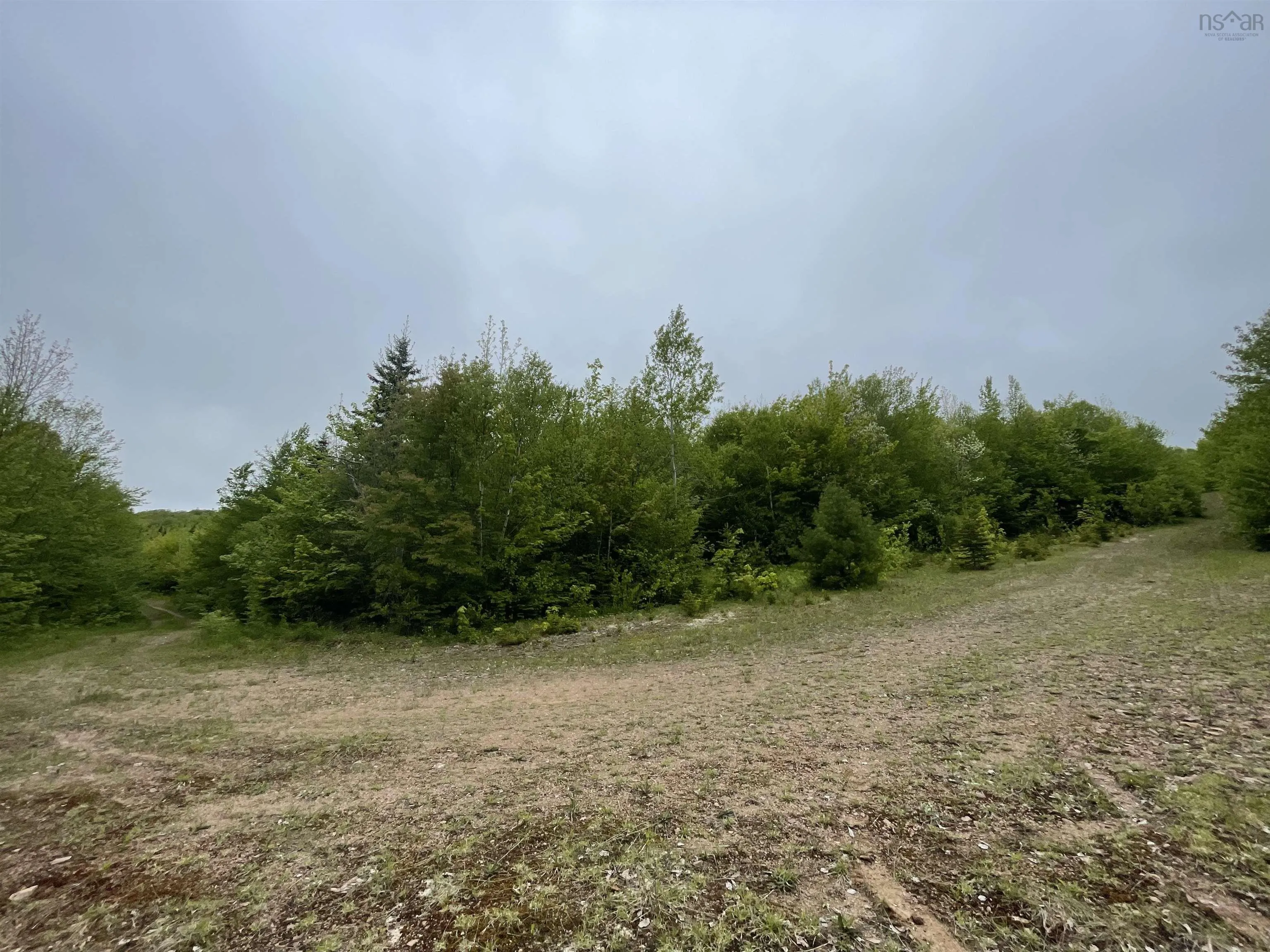 West Side Ainslie Glen Road Lot 6, West Lake Ainslie Ns B0e 3m0, ,Land,For Sale,West Side Ainslie Glen,202412556
