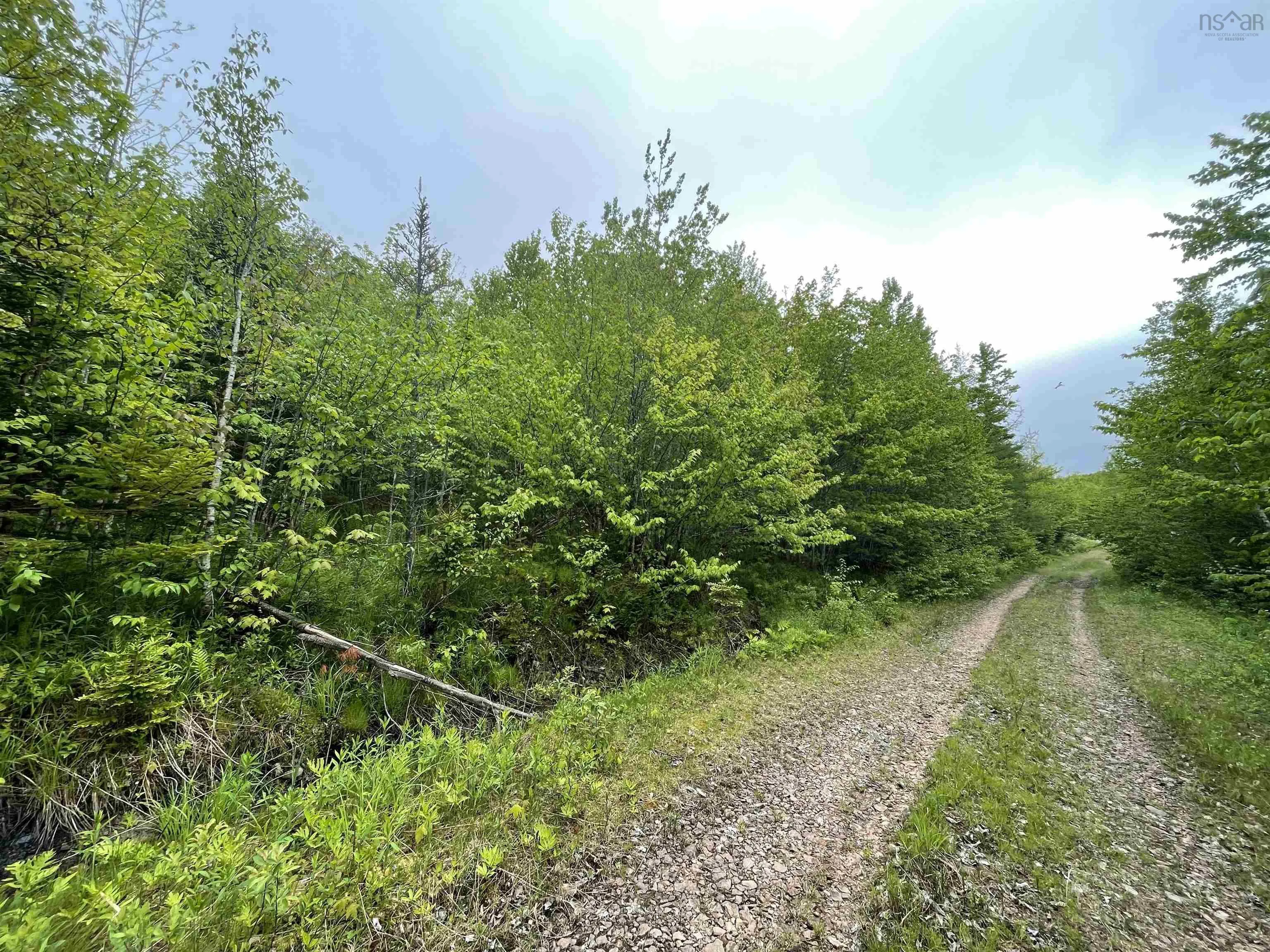 West Side Ainslie Glen Road Lot 6, West Lake Ainslie Ns B0e 3m0, ,Land,For Sale,West Side Ainslie Glen,202412556