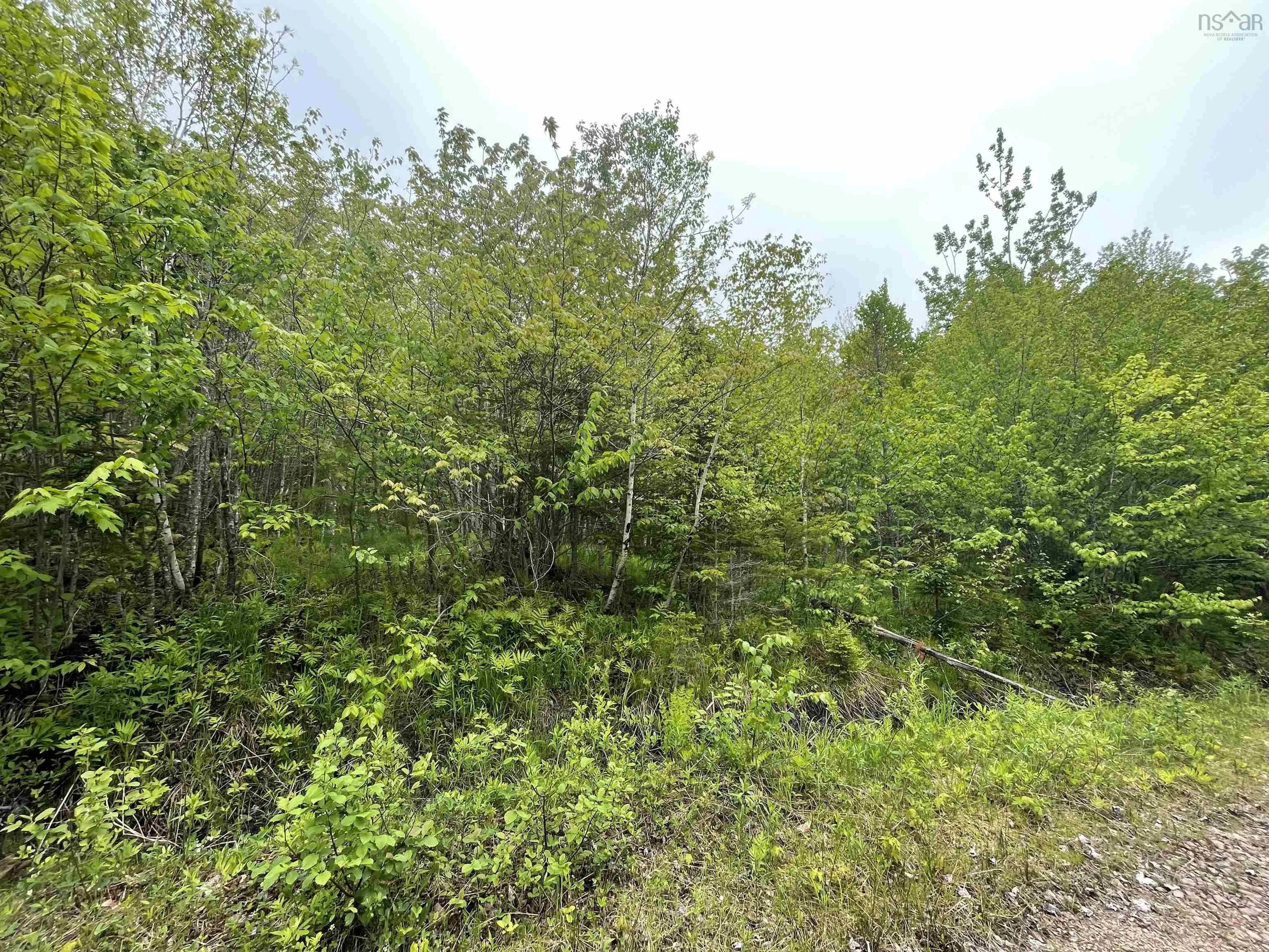 West Side Ainslie Glen Road Lot 6, West Lake Ainslie Ns B0e 3m0, ,Land,For Sale,West Side Ainslie Glen,202412556