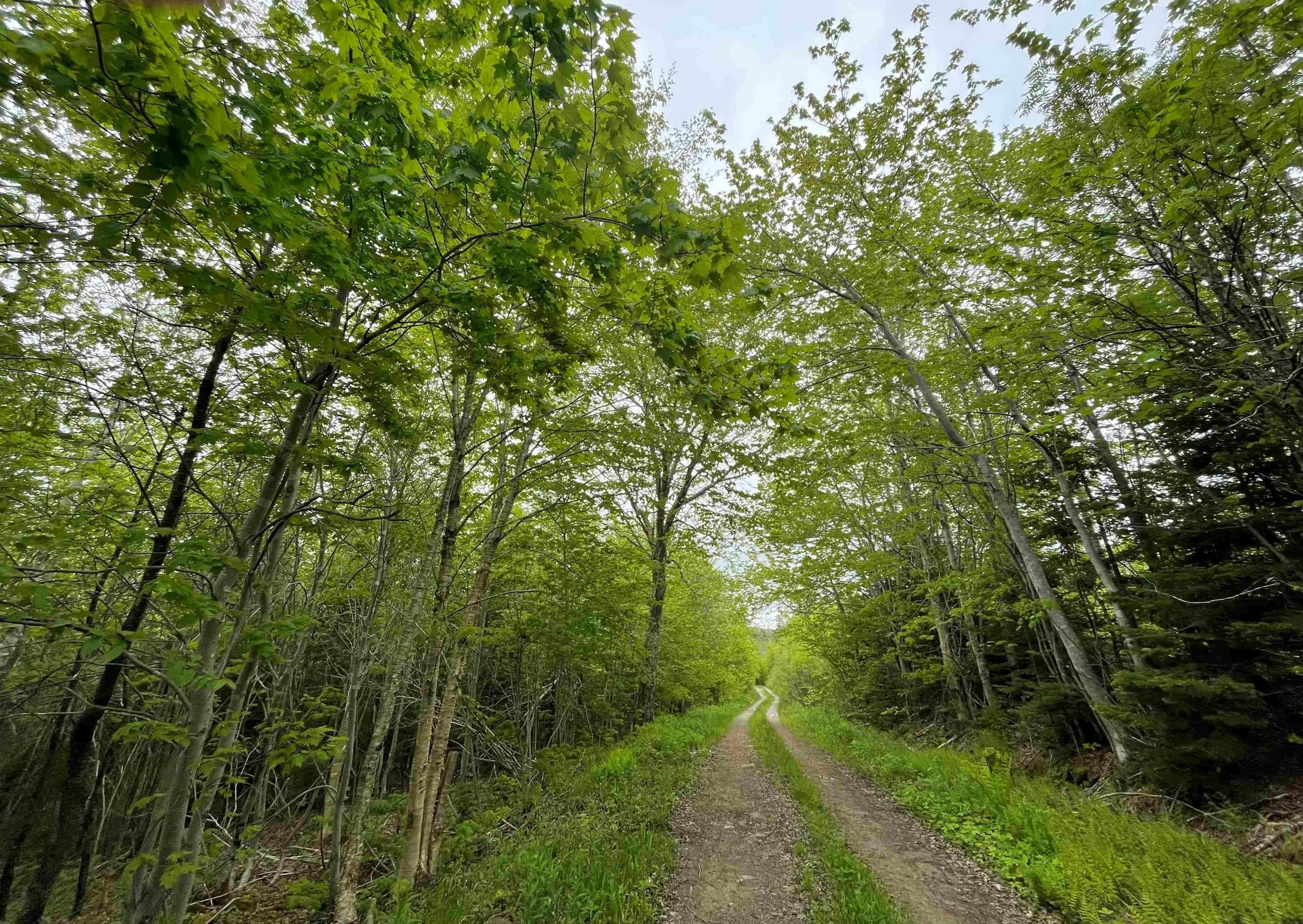 West Side Ainslie Glen Road Lot 6, West Lake Ainslie Ns B0e 3m0, ,Land,For Sale,West Side Ainslie Glen,202412556