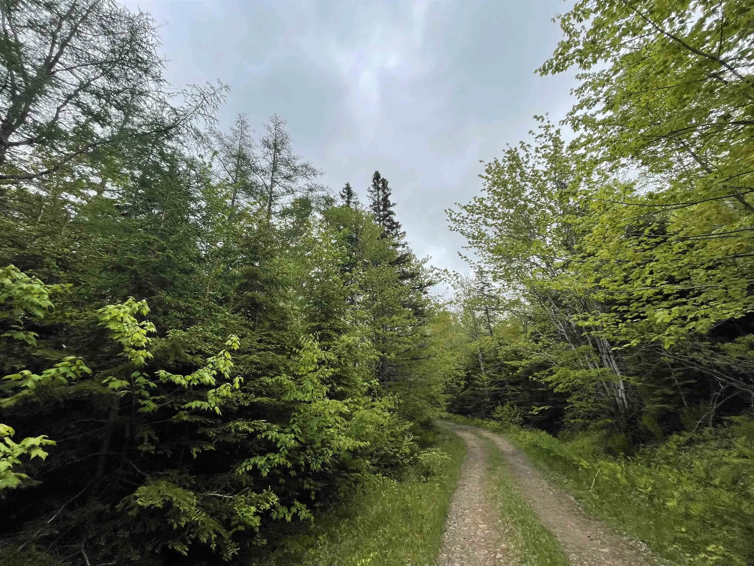 West Side Ainslie Glen Road Lot 6, West Lake Ainslie Ns B0e 3m0, ,Land,For Sale,West Side Ainslie Glen,202412556
