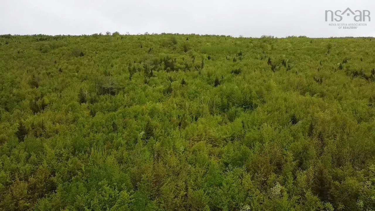 West Side Ainslie Glen Road Lot 6, West Lake Ainslie Ns B0e 3m0, ,Land,For Sale,West Side Ainslie Glen,202412556