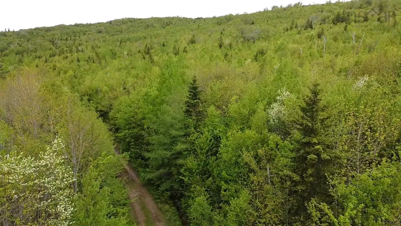 West Side Ainslie Glen Road Lot 6, West Lake Ainslie Ns B0e 3m0, ,Land,For Sale,West Side Ainslie Glen,202412556
