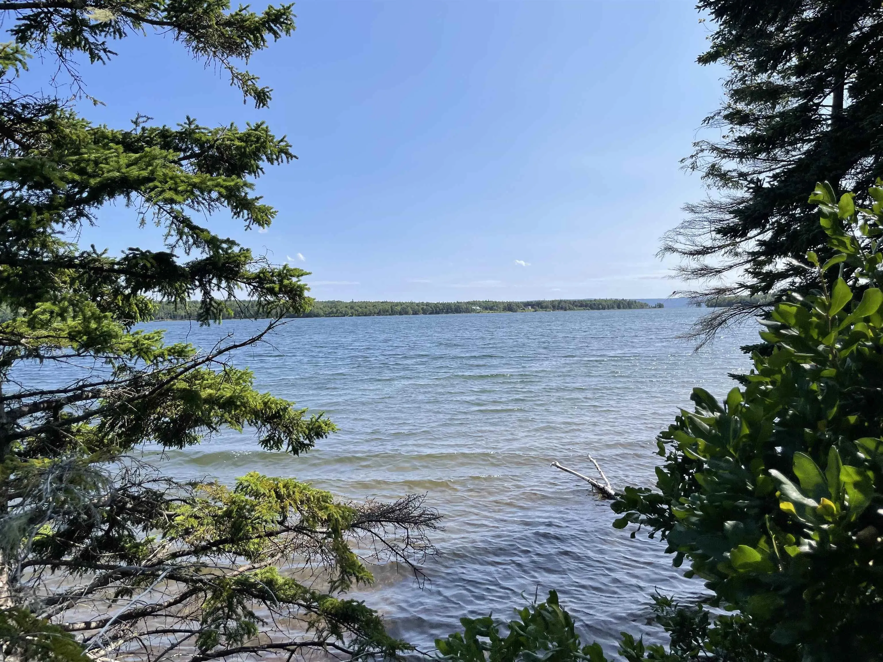 0 Marble Mountain Road Lot 1f, Big Harbour Ns B0e 1b0, ,Land,For Sale,Marble Mountain,202420536