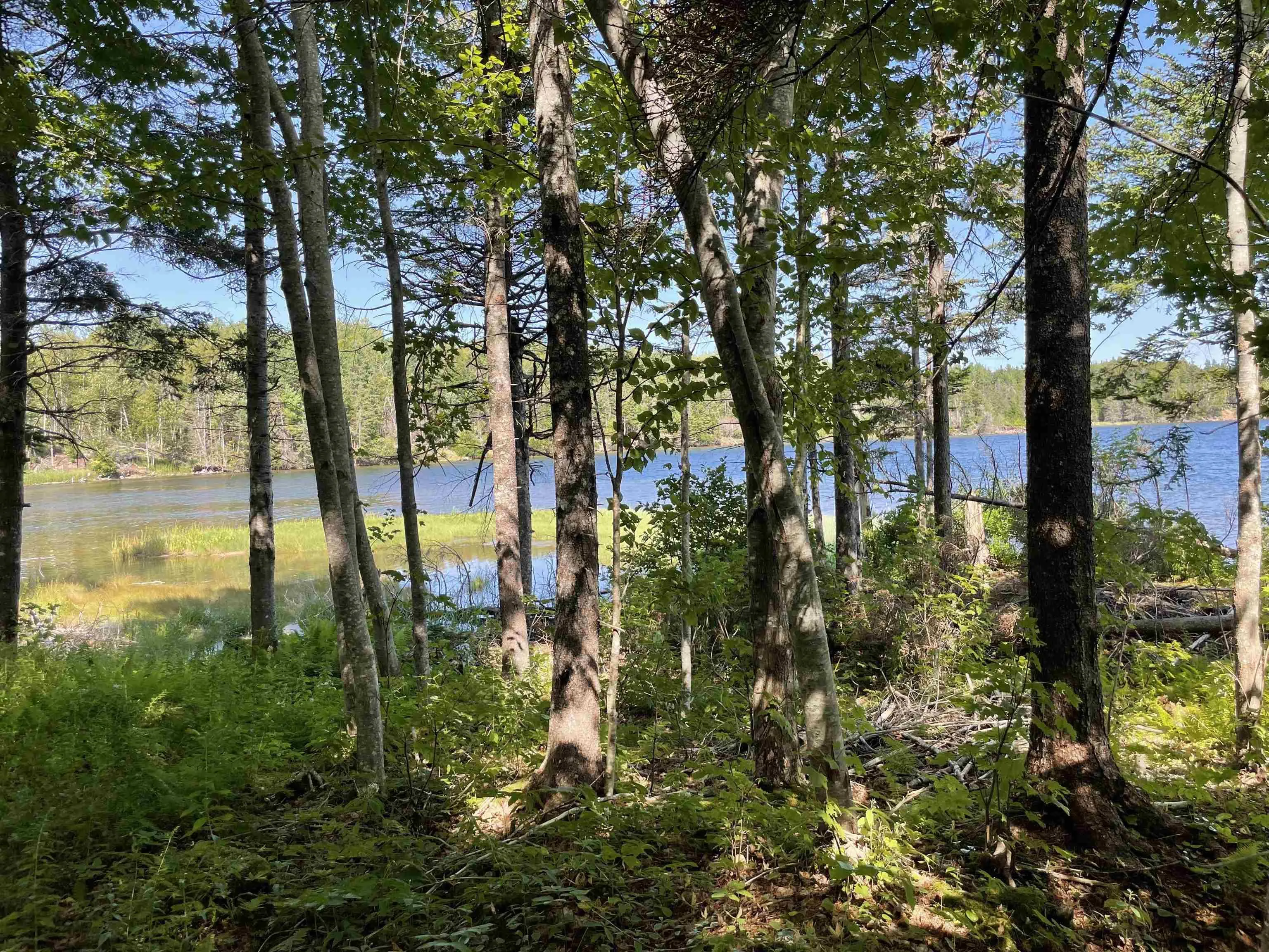 0 Marble Mountain Road Lot 1f, Big Harbour Ns B0e 1b0, ,Land,For Sale,Marble Mountain,202420536