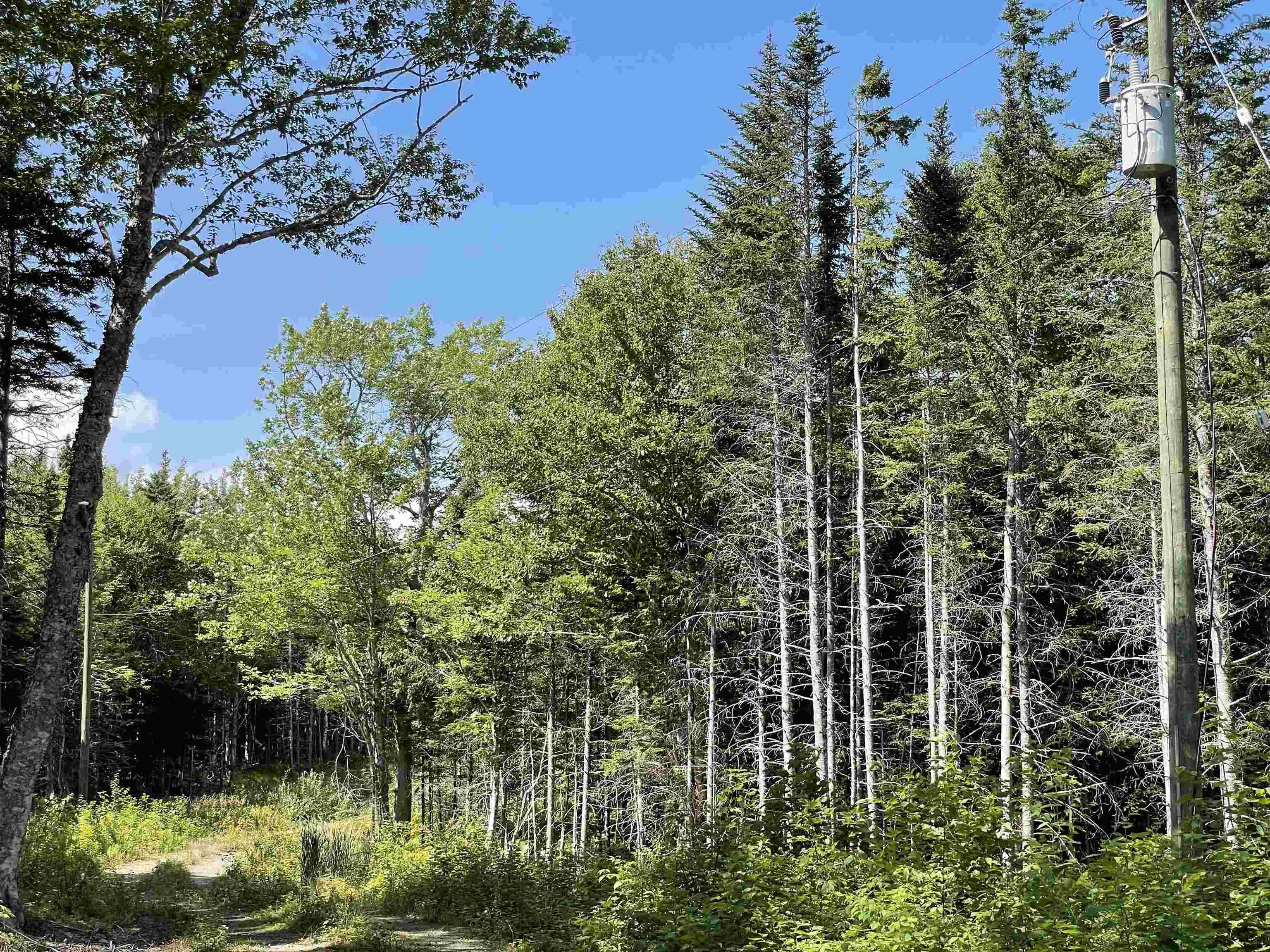 0 Marble Mountain Road Lot 1f, Big Harbour Ns B0e 1b0, ,Land,For Sale,Marble Mountain,202420536