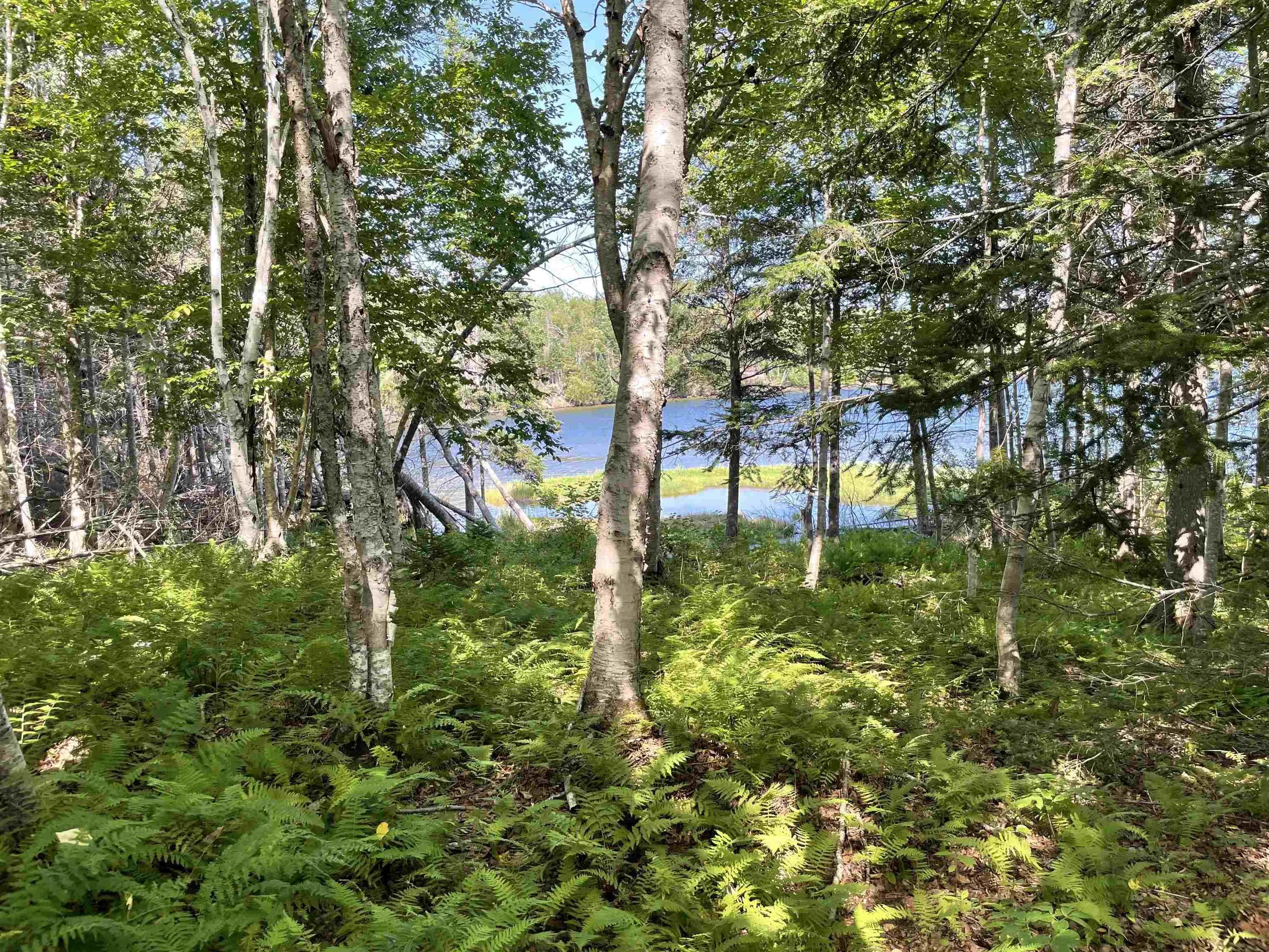 0 Marble Mountain Road Lot 1f, Big Harbour Ns B0e 1b0, ,Land,For Sale,Marble Mountain,202420536