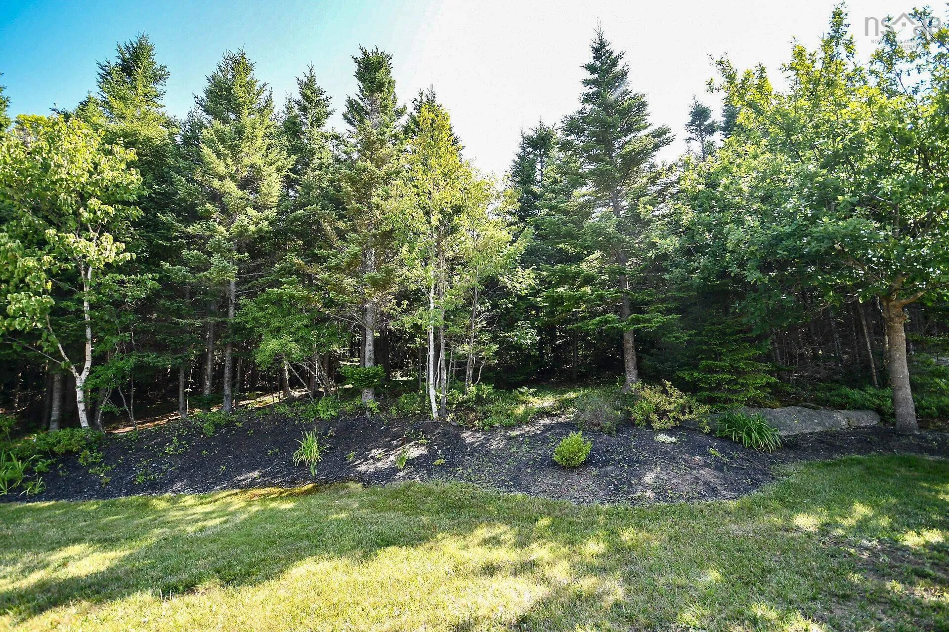 31 Barry Crescent, Herring Cove, NS B3R 2L7, 3 Bedrooms Bedrooms, ,3 BathroomsBathrooms,Residential,For Sale,Barry,202519013