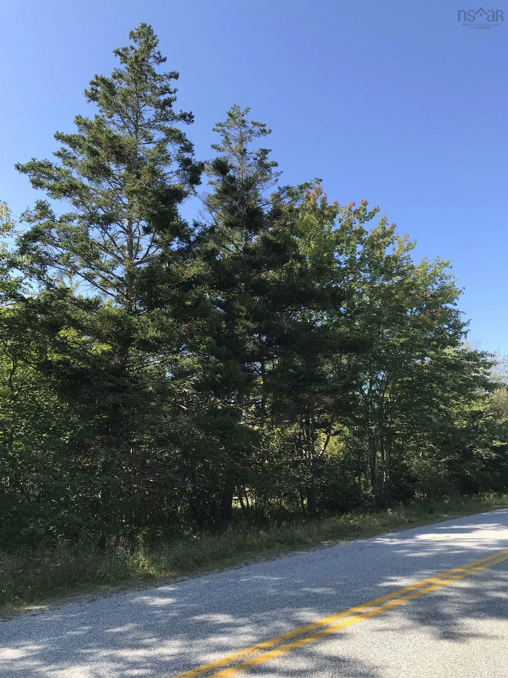 Sandy Point Road, Sandy Point Ns B0t 1w0, ,Land,For Sale,Sandy Point,202503671