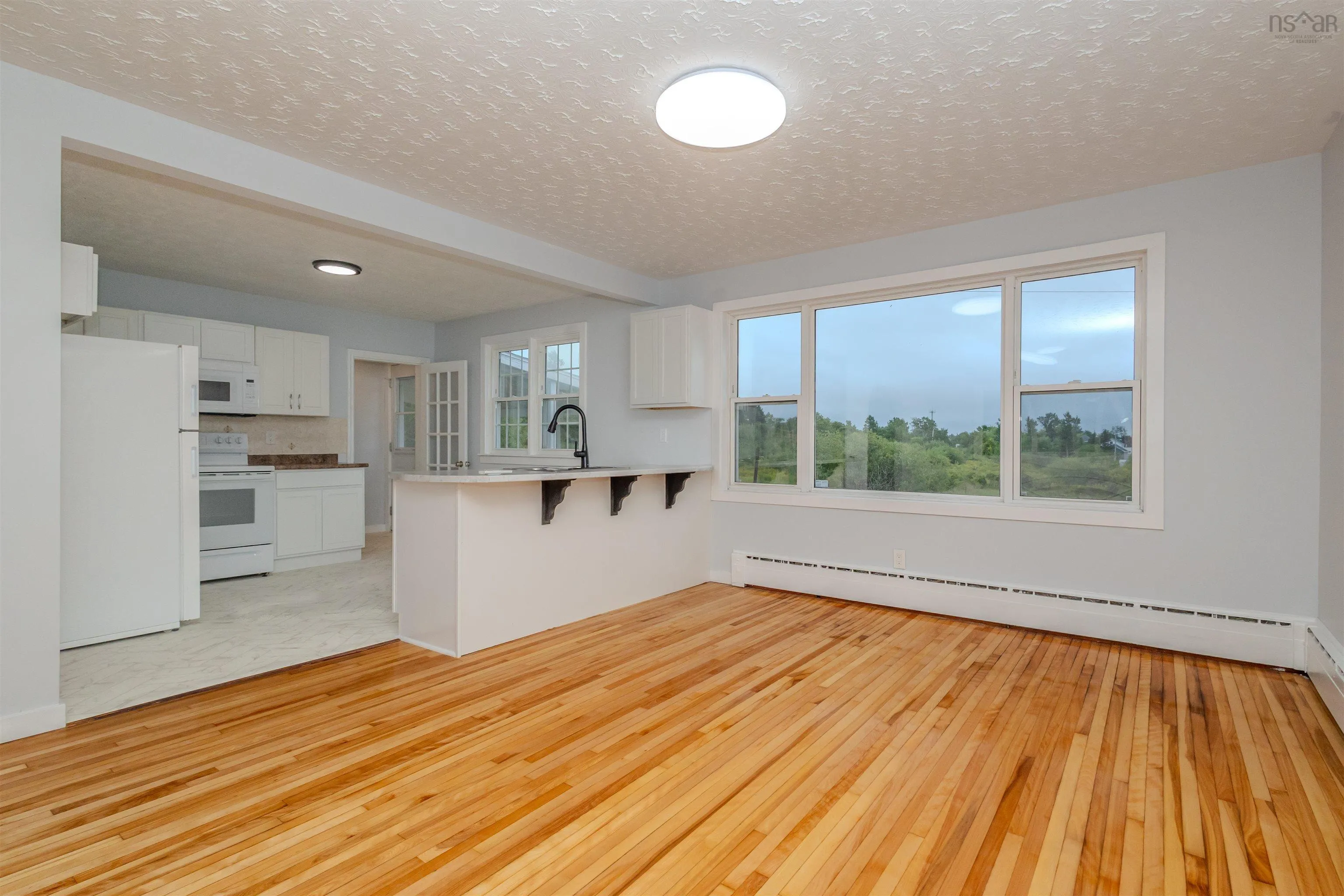 46 Catherine Street, Sydney, NS B1N 2W1, 3 Bedrooms Bedrooms, ,2 BathroomsBathrooms,Residential,For Sale,Catherine,202521599
