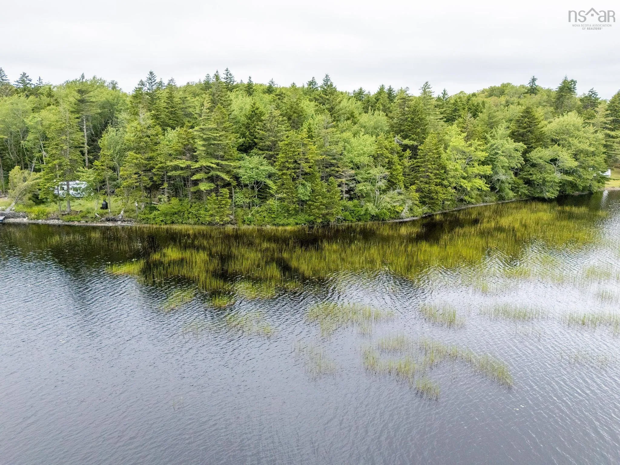 Highway 1 Lot 1, Grosses Coques, NS B0W 1M0, ,Land,For Sale,Highway 1,202517554