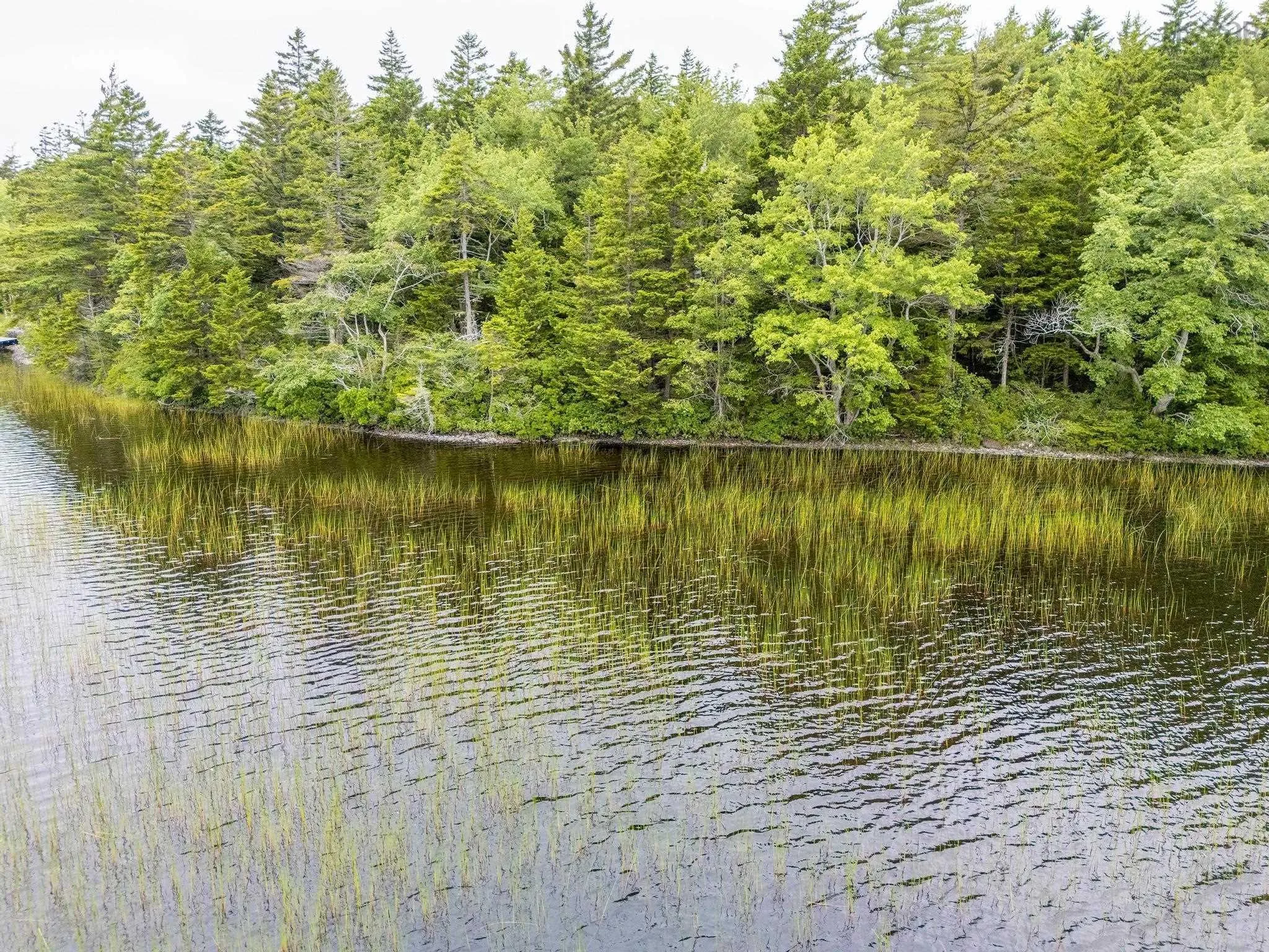 Highway 1 Lot 1, Grosses Coques, NS B0W 1M0, ,Land,For Sale,Highway 1,202517554