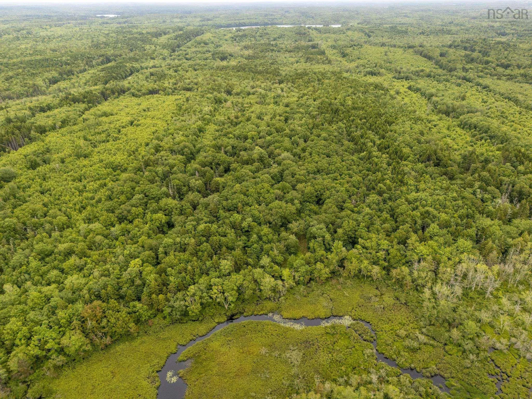 Highway 1 Lot 1, Grosses Coques, NS B0W 1M0, ,Land,For Sale,Highway 1,202517554
