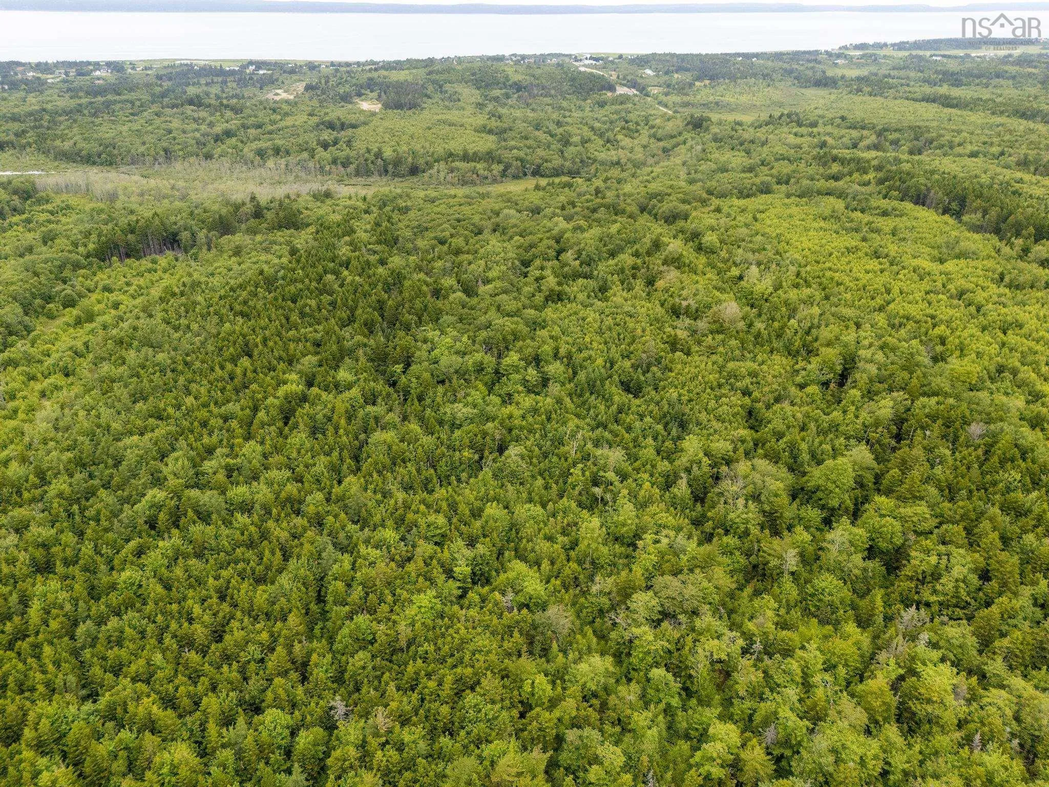 Highway 1 Lot 1, Grosses Coques, NS B0W 1M0, ,Land,For Sale,Highway 1,202517554