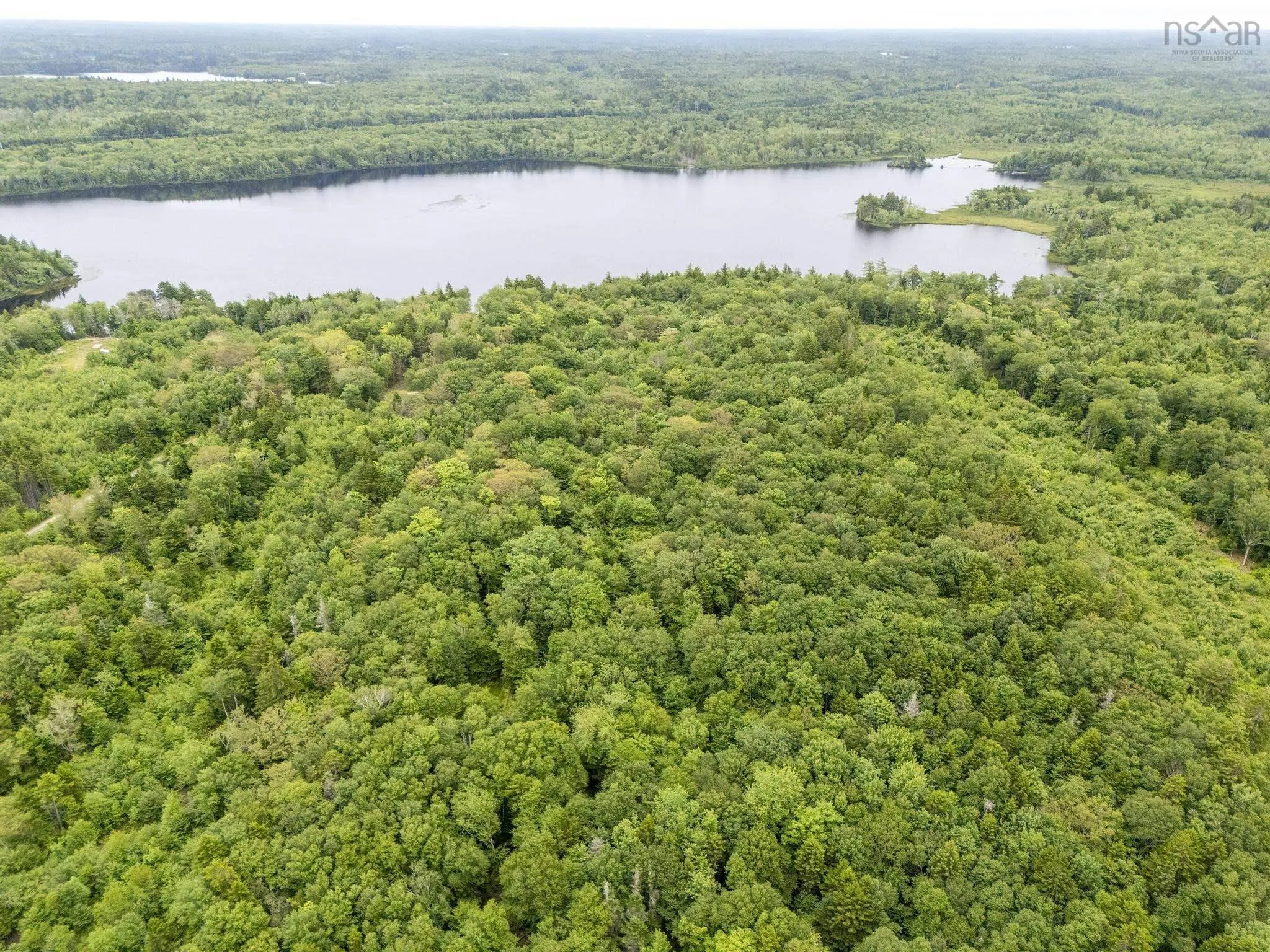 Highway 1 Lot 1, Grosses Coques, NS B0W 1M0, ,Land,For Sale,Highway 1,202517554