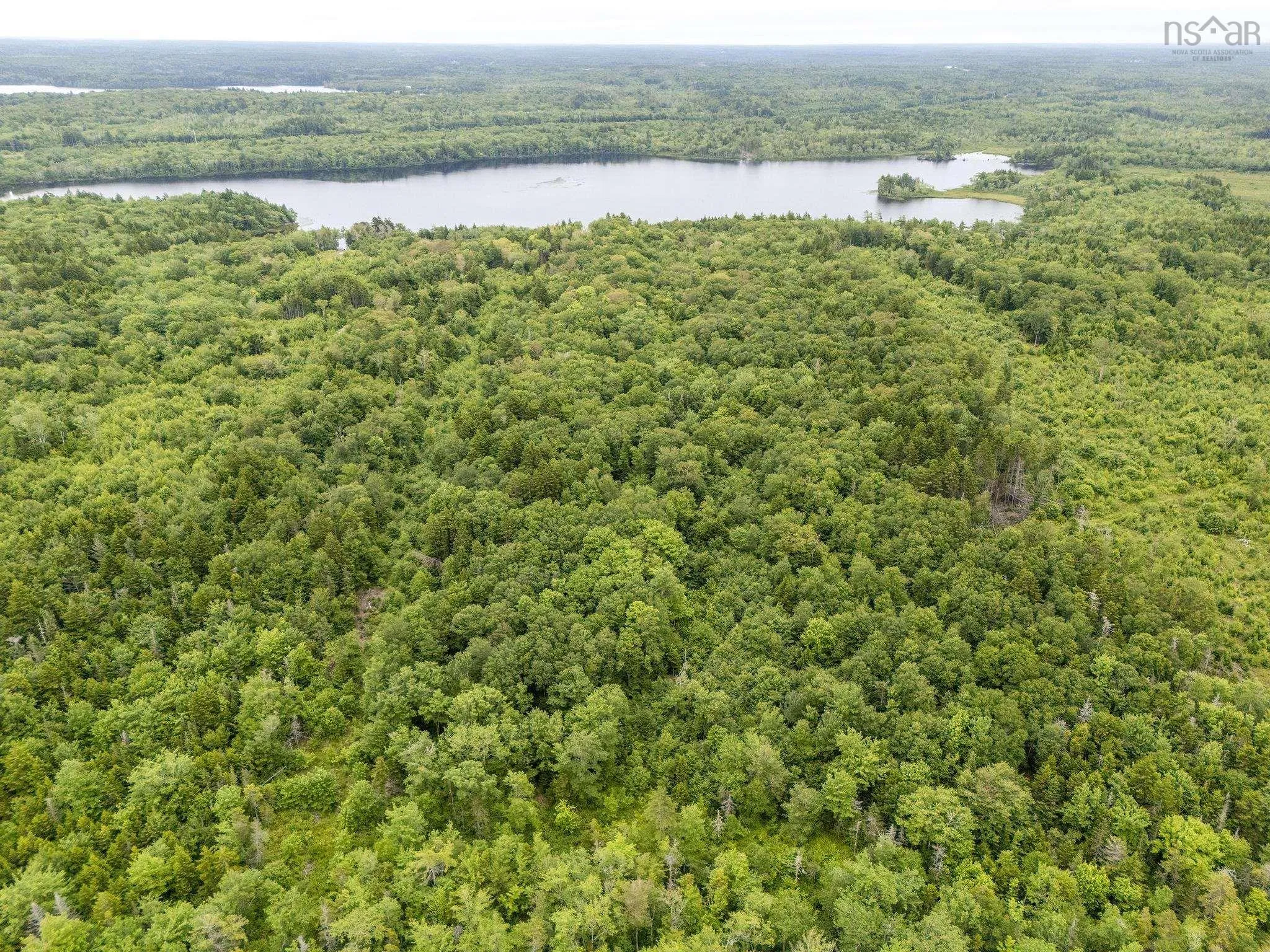 Highway 1 Lot 1, Grosses Coques, NS B0W 1M0, ,Land,For Sale,Highway 1,202517554