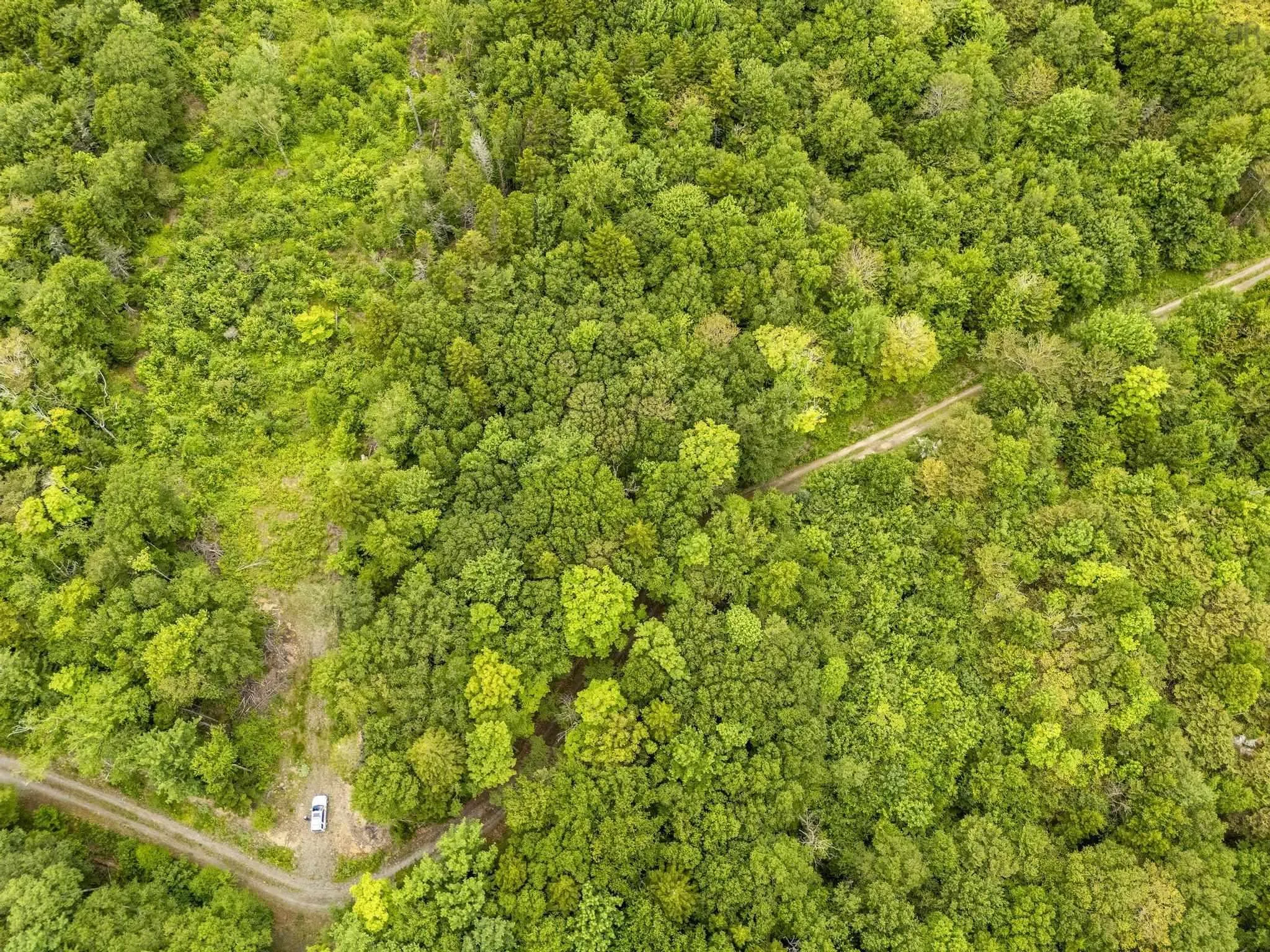 Highway 1 Lot 1, Grosses Coques, NS B0W 1M0, ,Land,For Sale,Highway 1,202517554