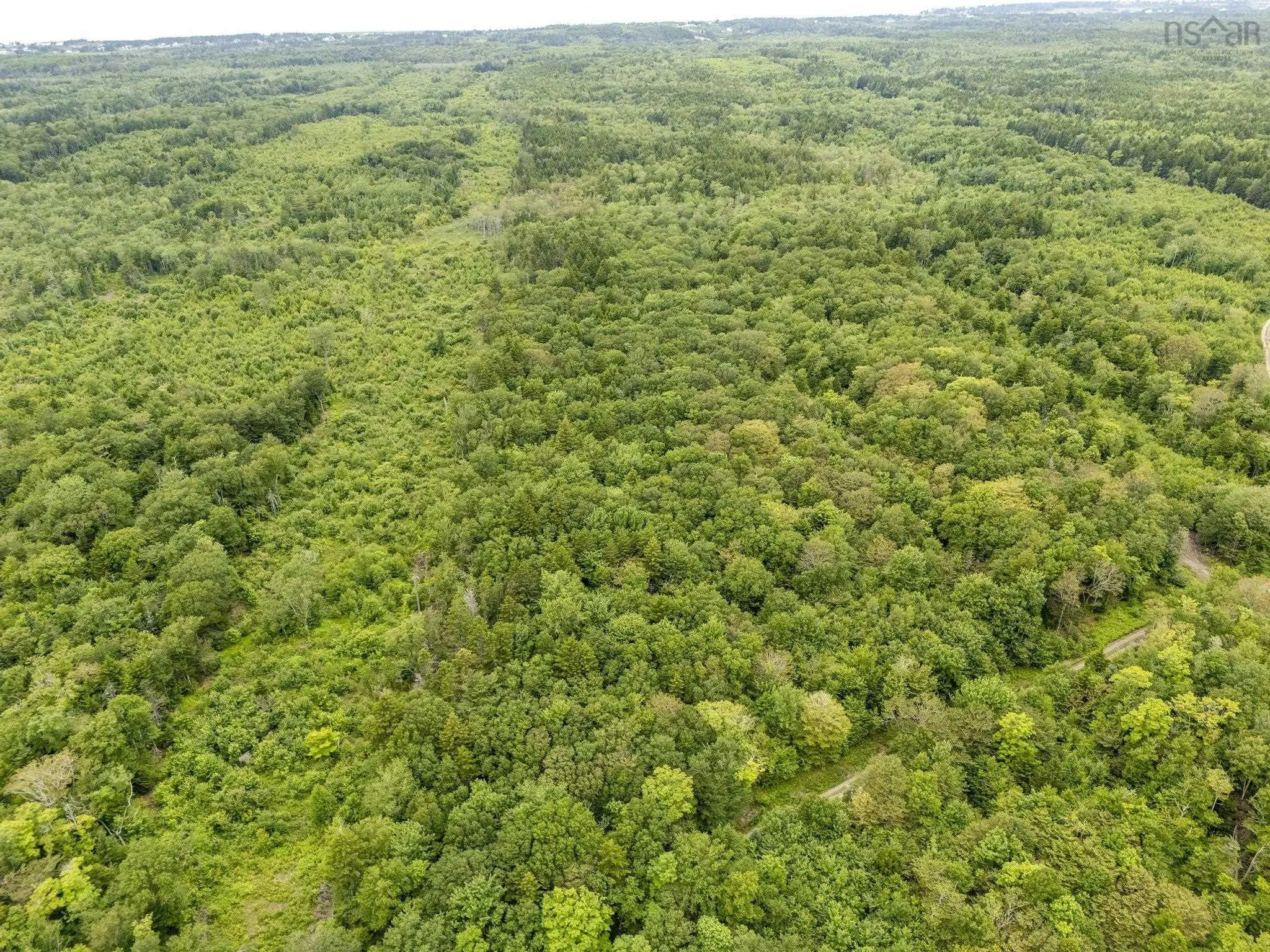 Highway 1 Lot 1, Grosses Coques, NS B0W 1M0, ,Land,For Sale,Highway 1,202517554
