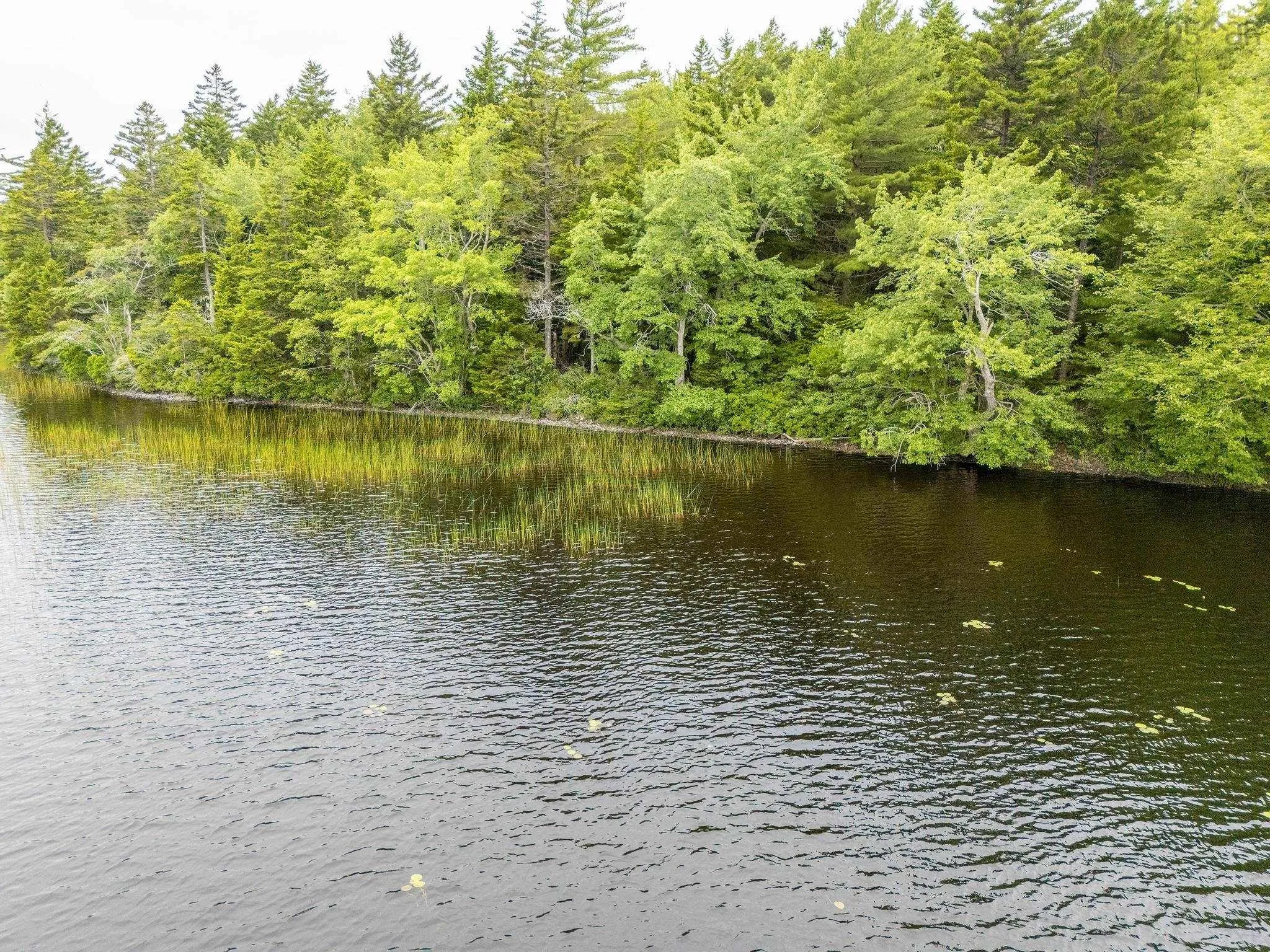 Highway 1 Lot 1, Grosses Coques, NS B0W 1M0, ,Land,For Sale,Highway 1,202517554