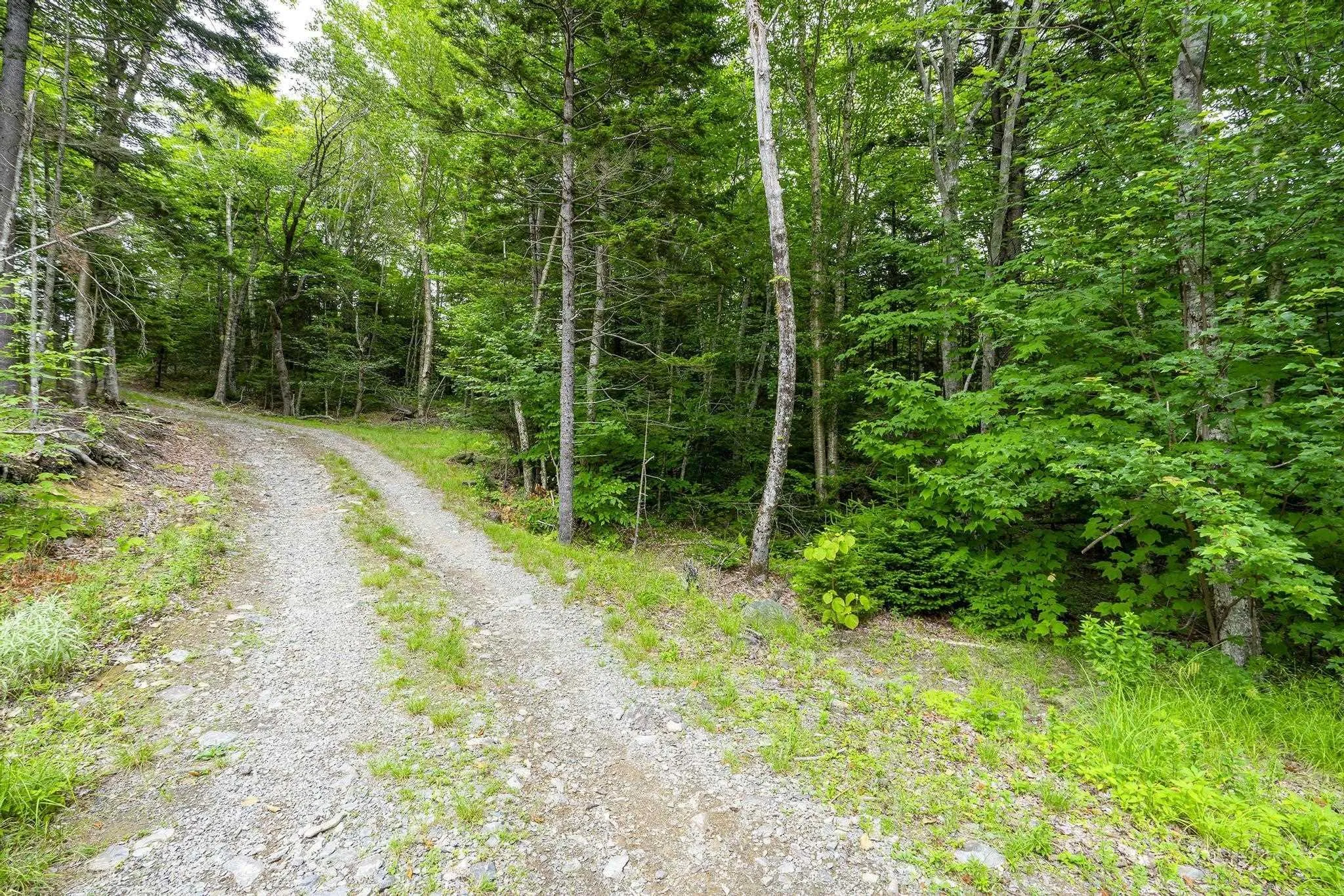 Highway 1 Lot 1, Grosses Coques, NS B0W 1M0, ,Land,For Sale,Highway 1,202517554