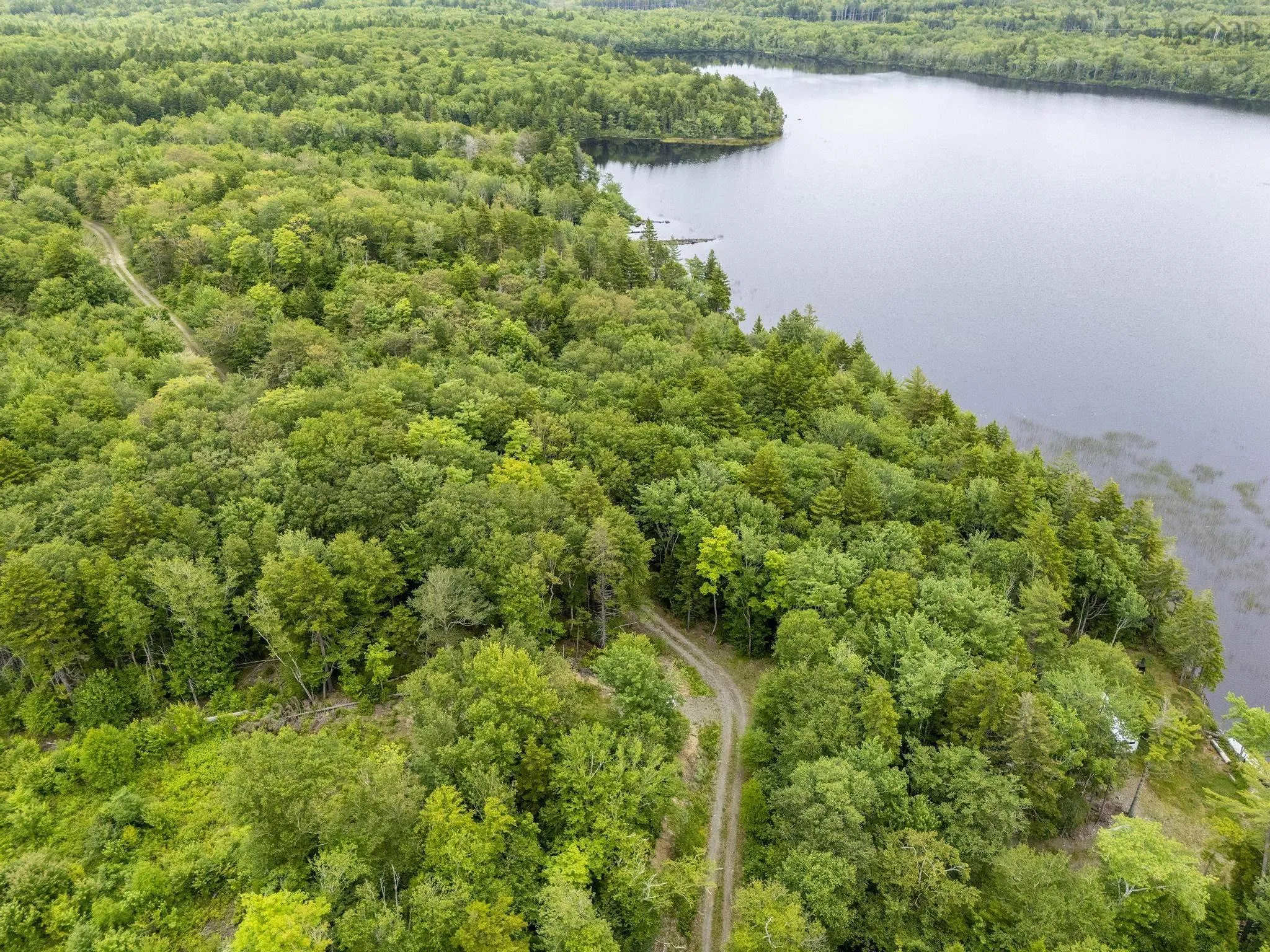 Highway 1 Lot 1, Grosses Coques, NS B0W 1M0, ,Land,For Sale,Highway 1,202517554