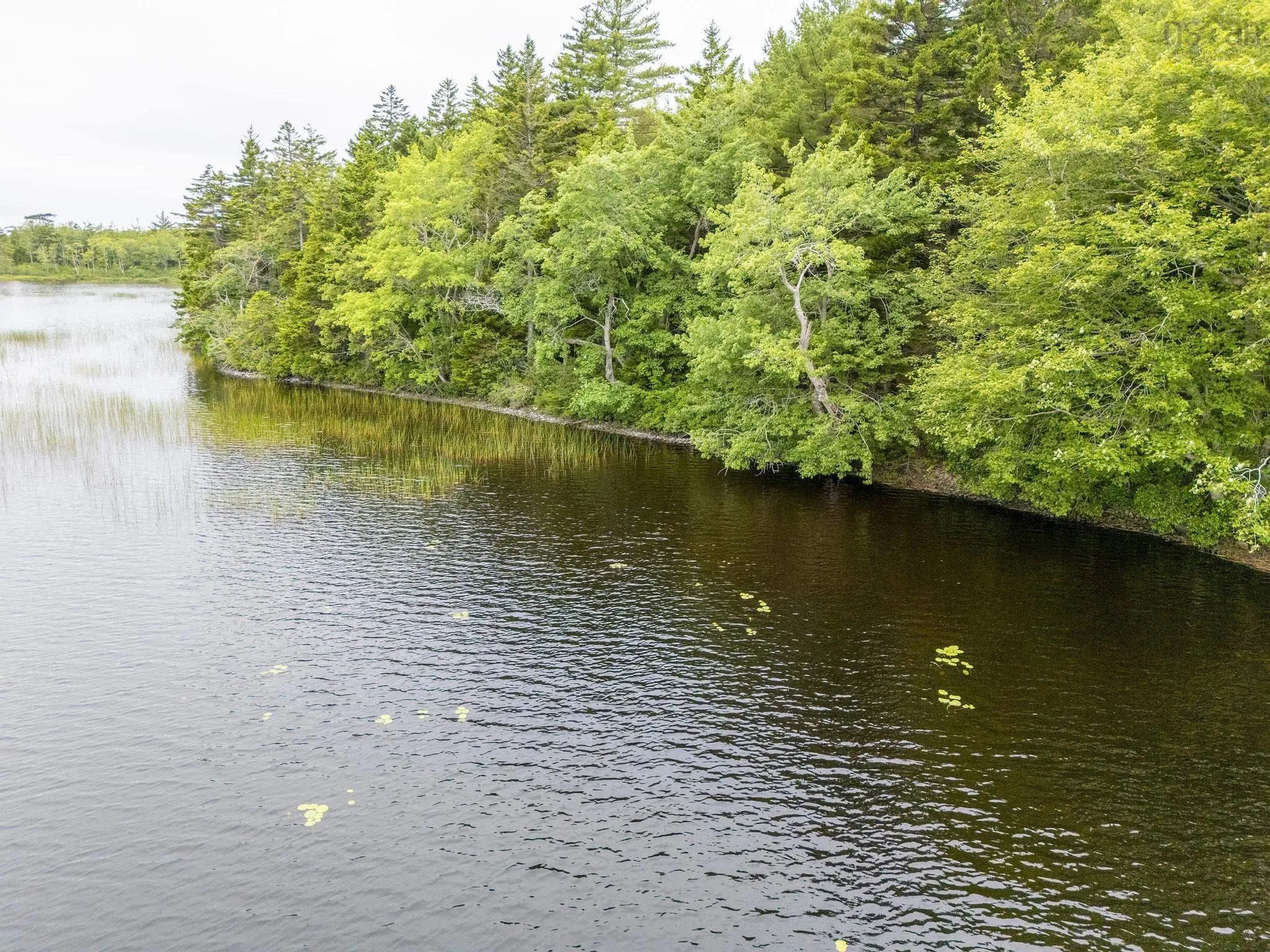 Highway 1 Lot 1, Grosses Coques, NS B0W 1M0, ,Land,For Sale,Highway 1,202517554