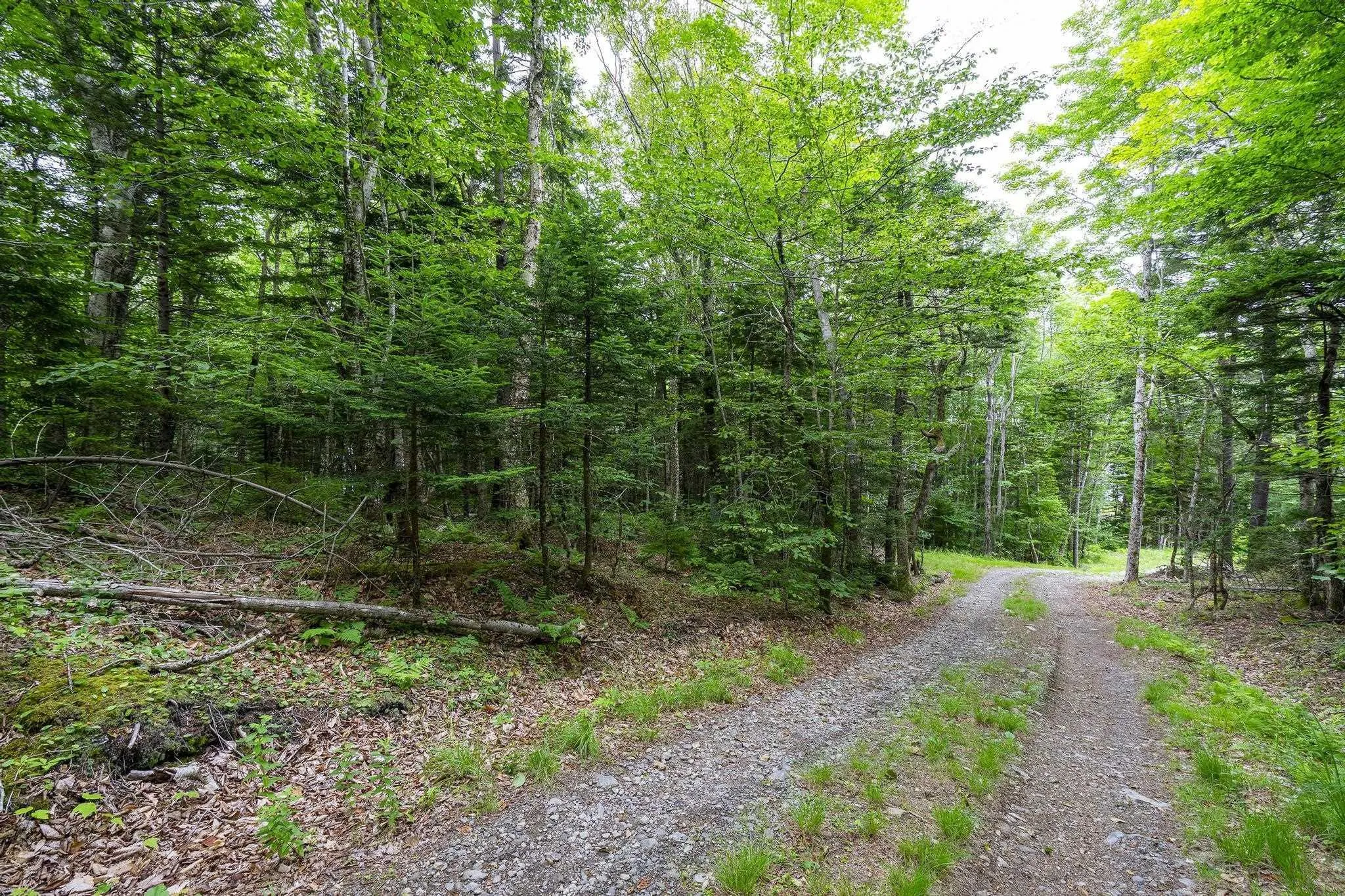 Highway 1 Lot 1, Grosses Coques, NS B0W 1M0, ,Land,For Sale,Highway 1,202517554