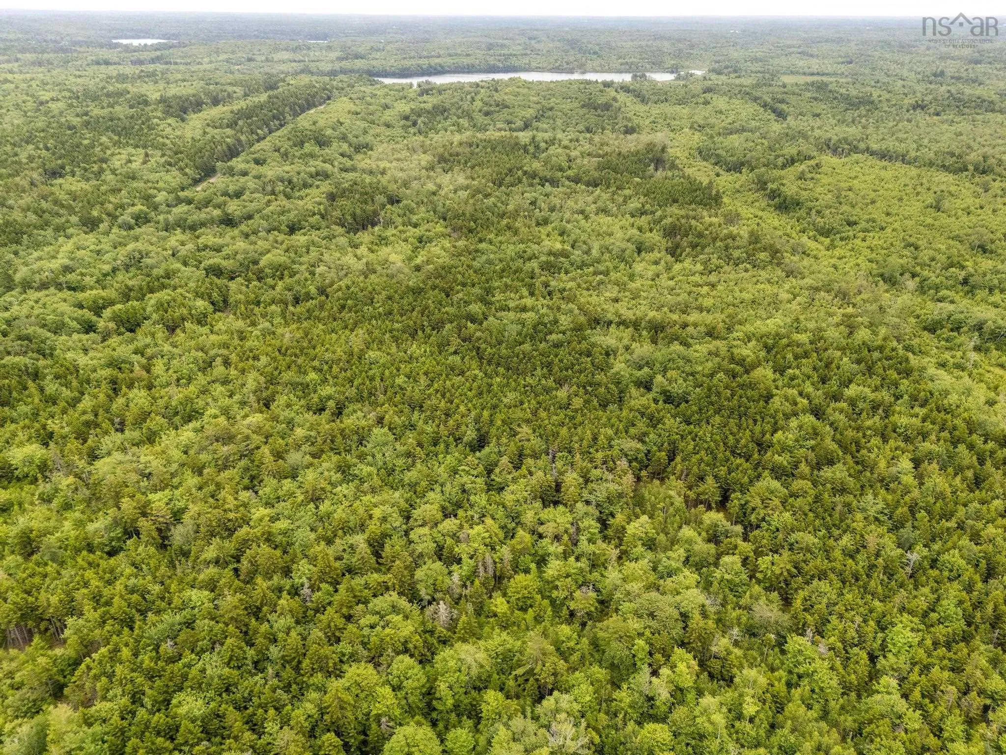 Highway 1 Lot 1, Grosses Coques, NS B0W 1M0, ,Land,For Sale,Highway 1,202517554
