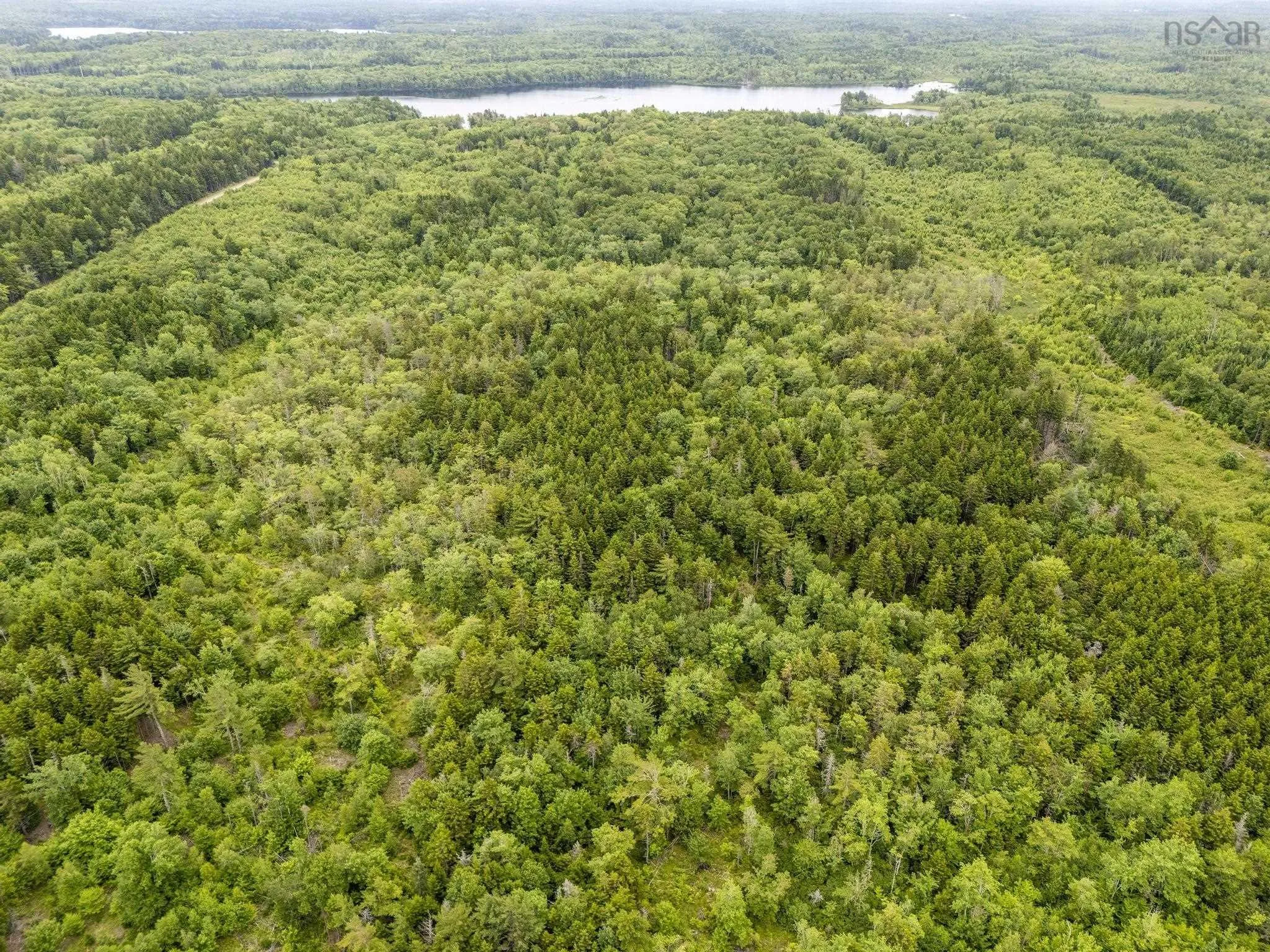 Highway 1 Lot 1, Grosses Coques, NS B0W 1M0, ,Land,For Sale,Highway 1,202517554