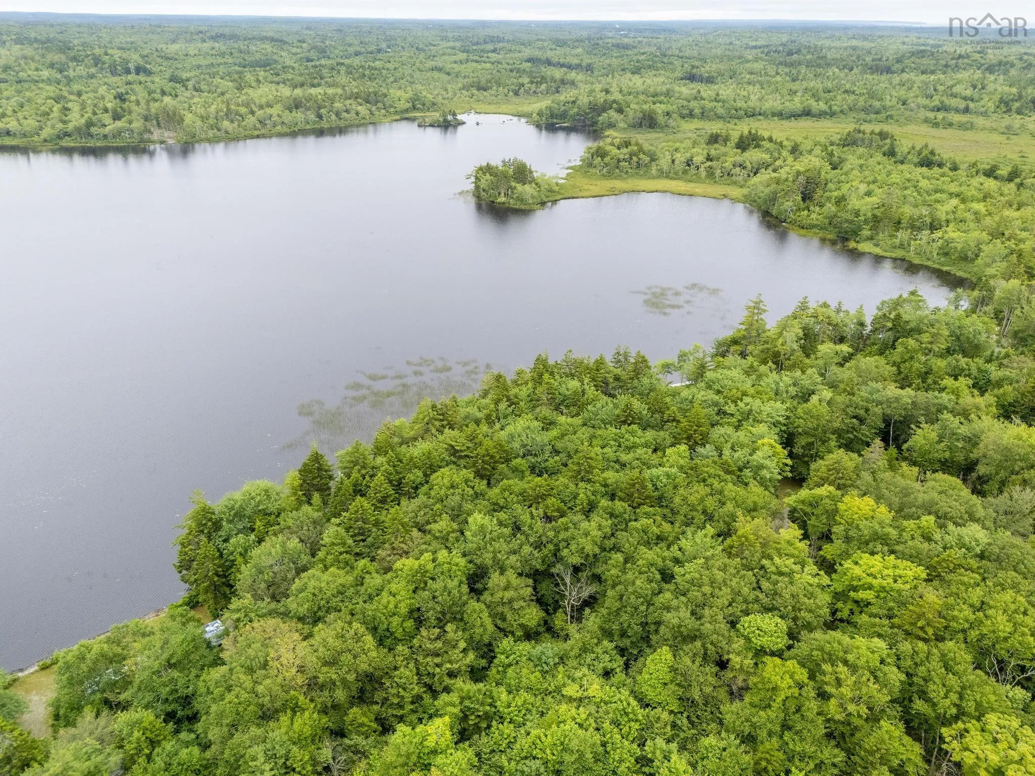 Highway 1 Lot 1, Grosses Coques, NS B0W 1M0, ,Land,For Sale,Highway 1,202517554