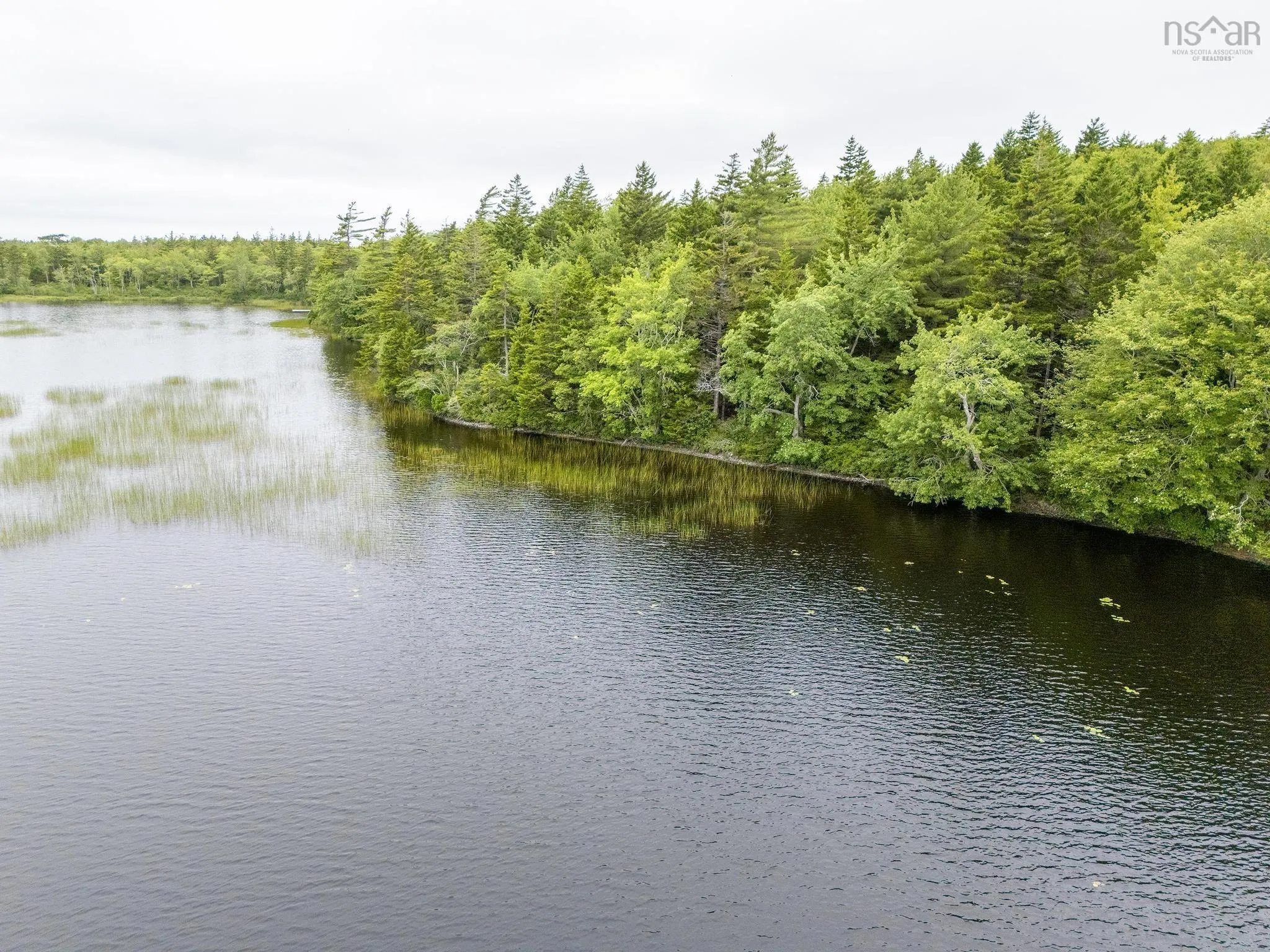 Highway 1 Lot 1, Grosses Coques, NS B0W 1M0, ,Land,For Sale,Highway 1,202517554