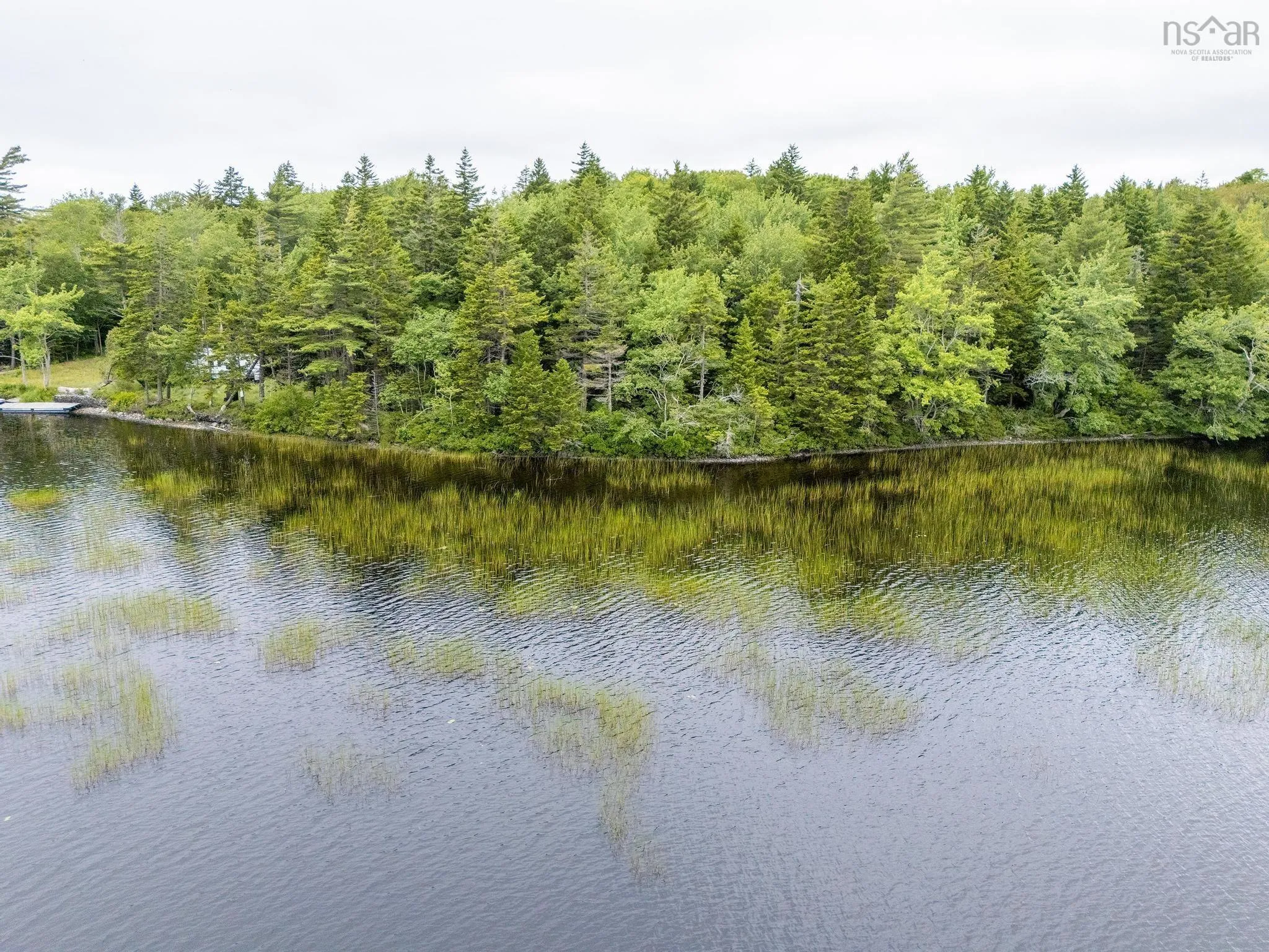 Highway 1 Lot 1, Grosses Coques, NS B0W 1M0, ,Land,For Sale,Highway 1,202517554