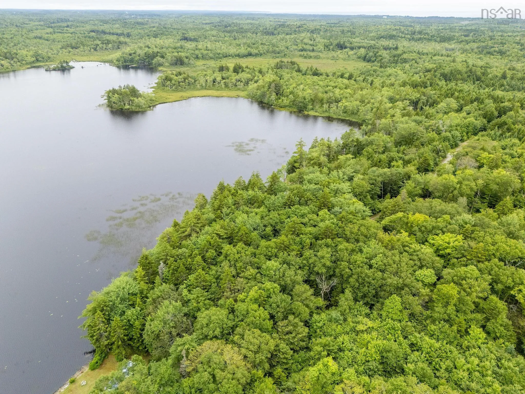 Highway 1 Lot 1, Grosses Coques, NS B0W 1M0, ,Land,For Sale,Highway 1,202517554
