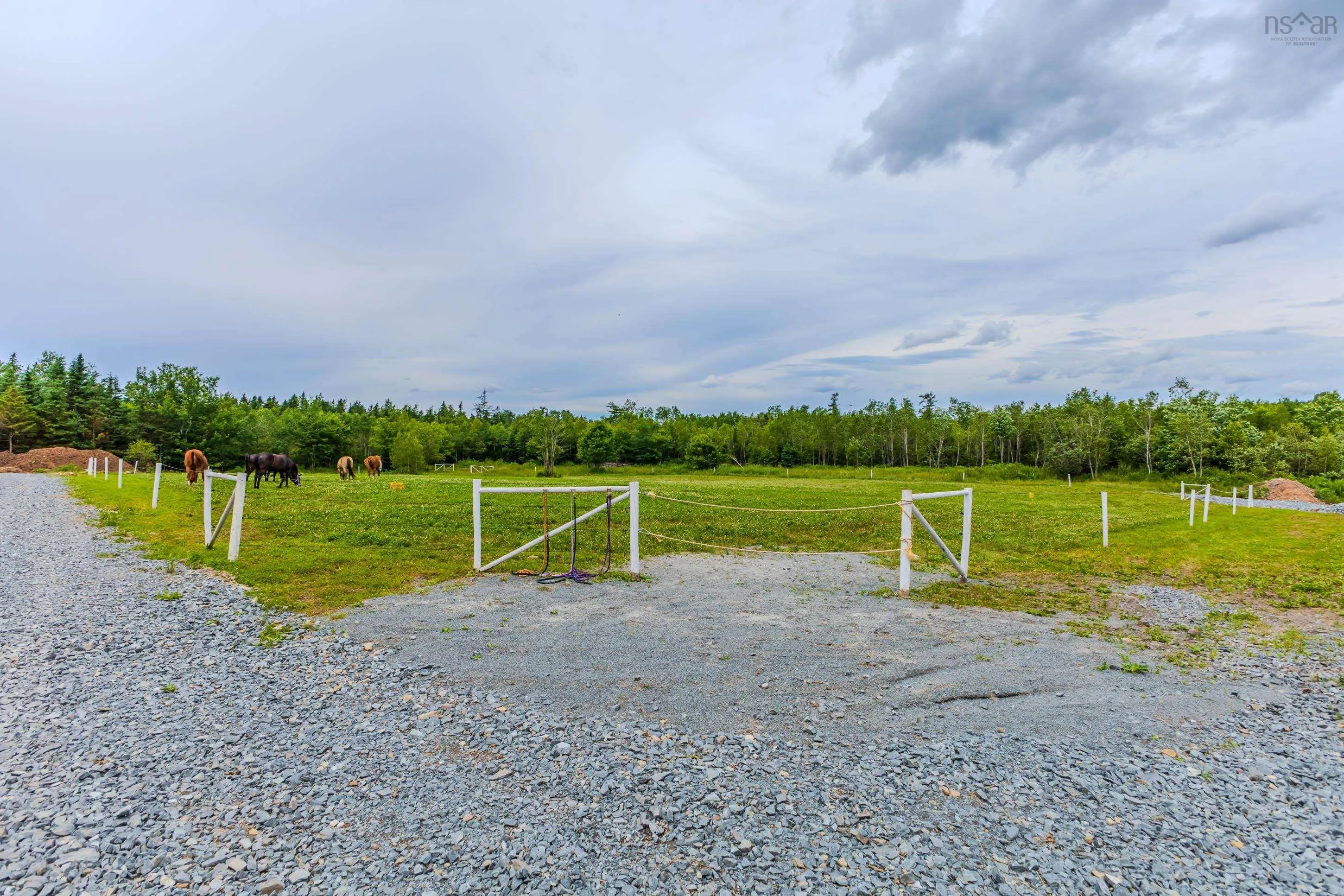 1554 Pleasant Valley Rd, Green Creek Ns B0n 1c0, 2 Bedrooms Bedrooms, ,1 BathroomBathrooms,Farm,For Sale,Pleasant Valley Rd,202426480