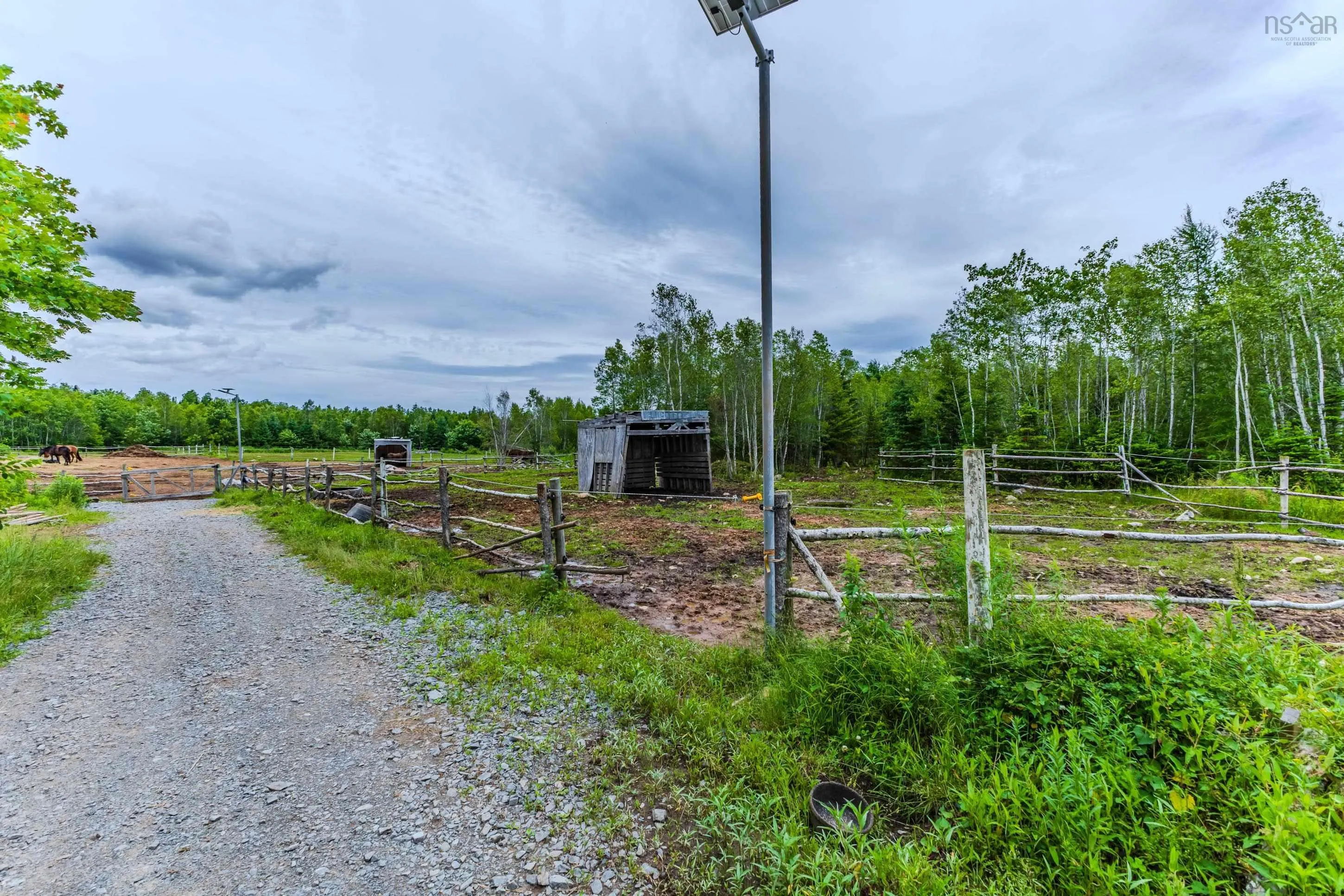 1554 Pleasant Valley Rd, Green Creek Ns B0n 1c0, 2 Bedrooms Bedrooms, ,1 BathroomBathrooms,Farm,For Sale,Pleasant Valley Rd,202426480