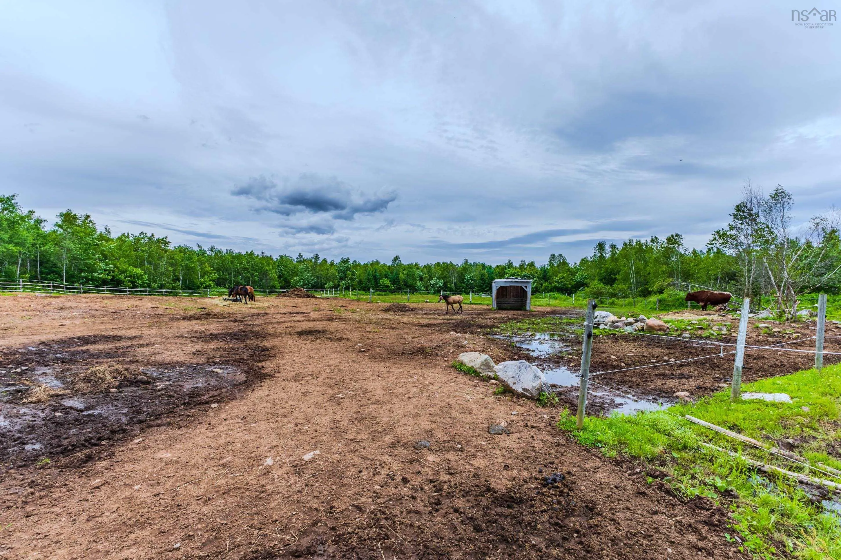 1554 Pleasant Valley Rd, Green Creek Ns B0n 1c0, 2 Bedrooms Bedrooms, ,1 BathroomBathrooms,Farm,For Sale,Pleasant Valley Rd,202426480