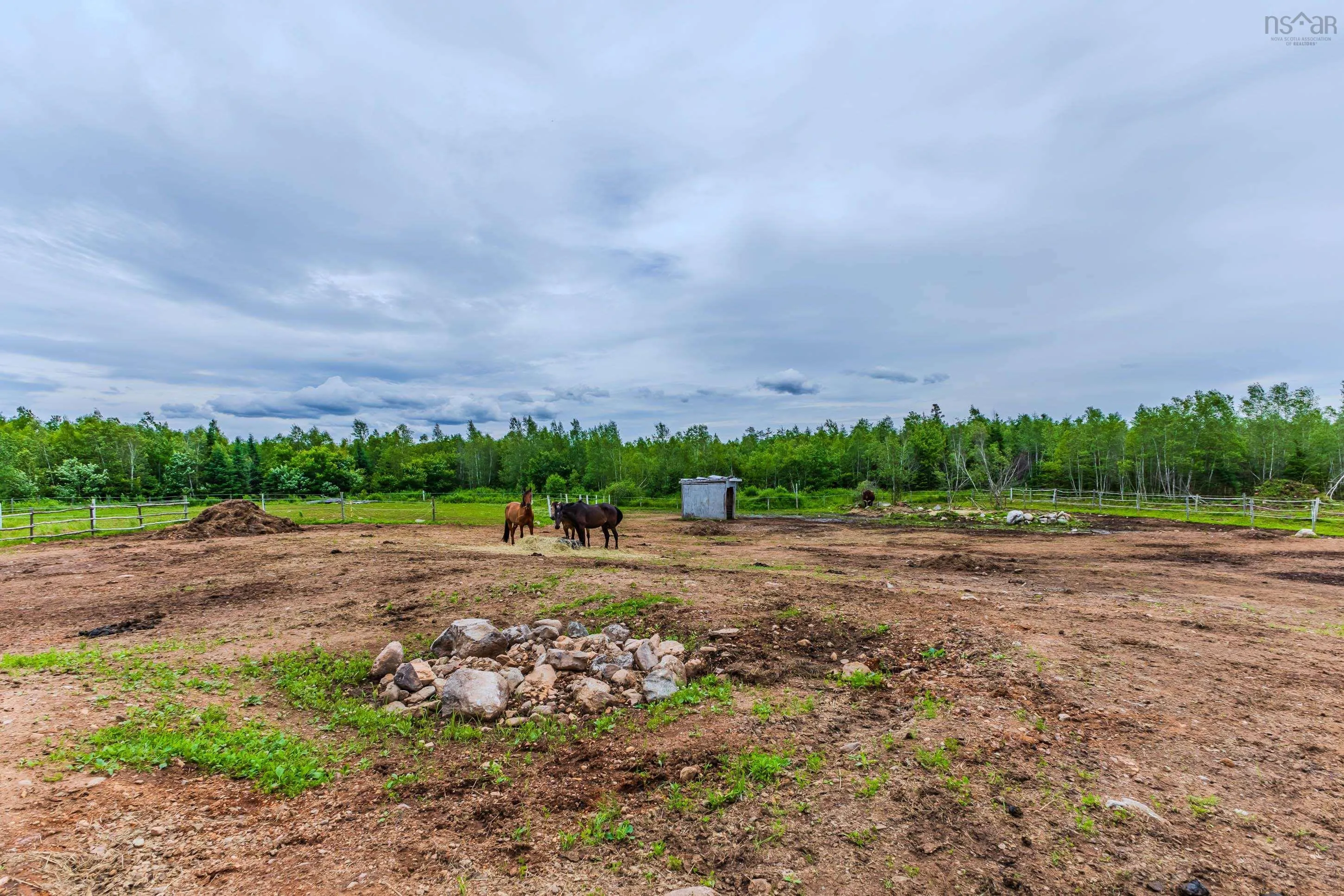 1554 Pleasant Valley Rd, Green Creek Ns B0n 1c0, 2 Bedrooms Bedrooms, ,1 BathroomBathrooms,Farm,For Sale,Pleasant Valley Rd,202426480
