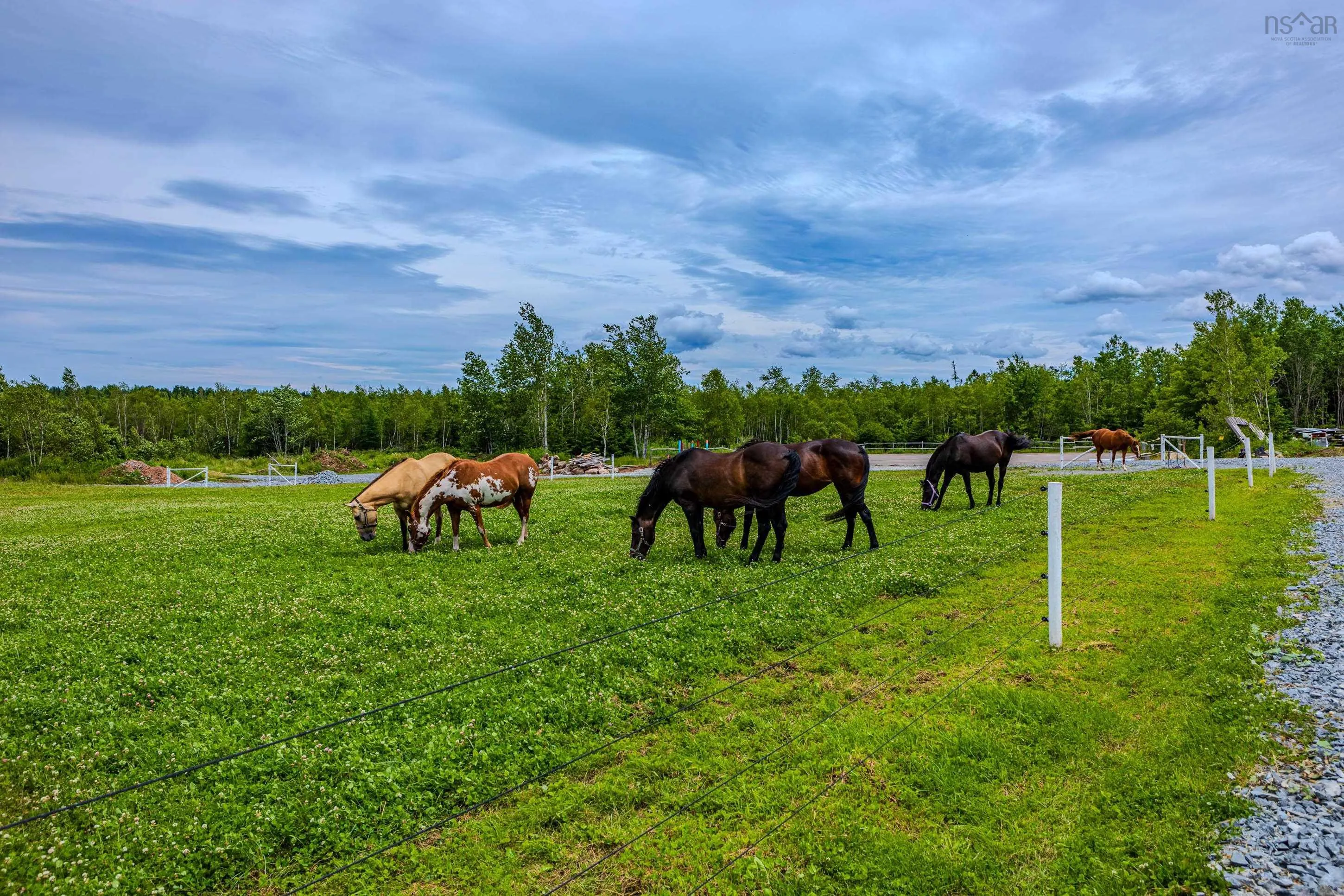 1554 Pleasant Valley Rd, Green Creek Ns B0n 1c0, 2 Bedrooms Bedrooms, ,1 BathroomBathrooms,Farm,For Sale,Pleasant Valley Rd,202426480