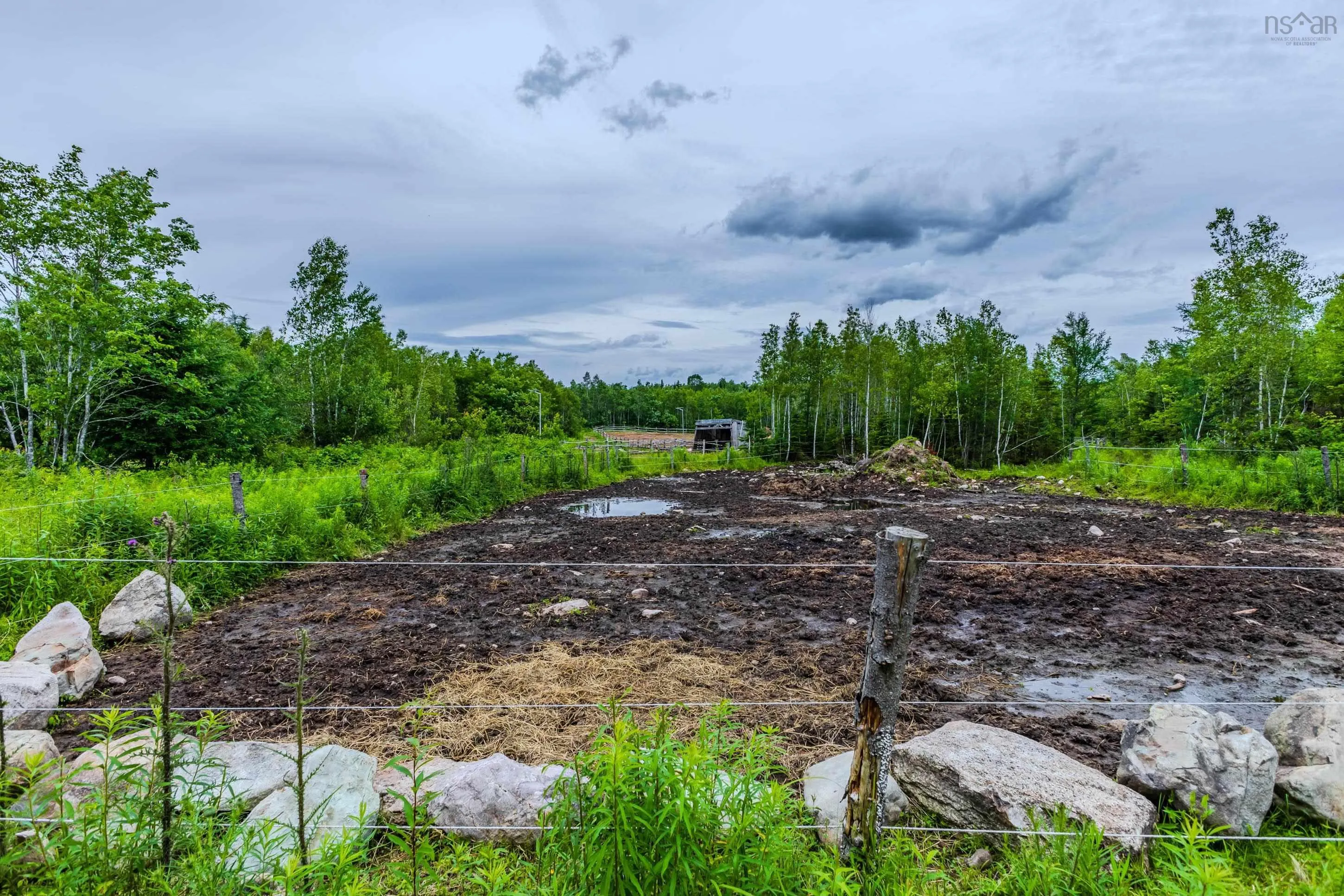 1554 Pleasant Valley Rd, Green Creek Ns B0n 1c0, 2 Bedrooms Bedrooms, ,1 BathroomBathrooms,Farm,For Sale,Pleasant Valley Rd,202426480